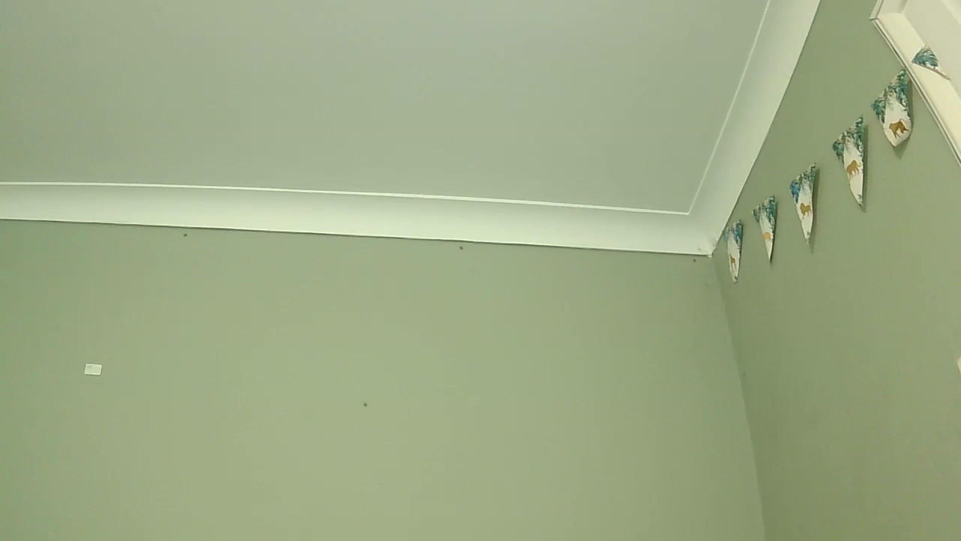 Gallery image thumbnail from misshazel1's myfreecams stream on, 01/07/2025, 10:57 image 2 of 20