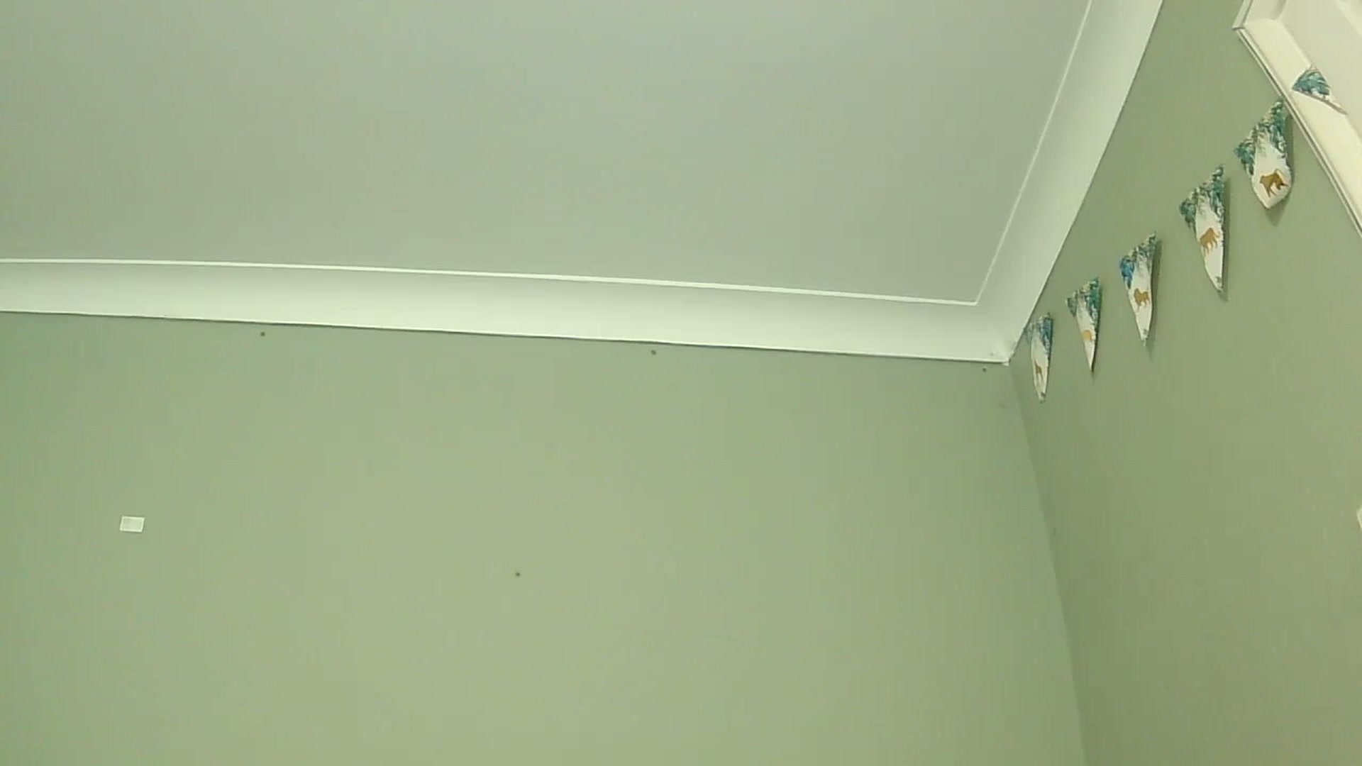 Gallery image thumbnail from misshazel1's myfreecams stream on, 01/07/2025, 10:57 image 3 of 20