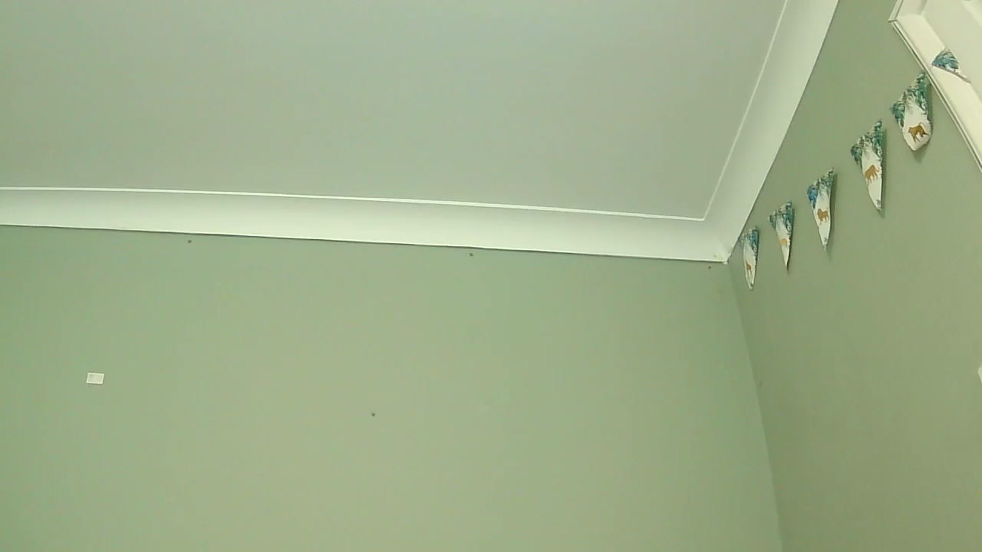 Gallery image thumbnail from misshazel1's myfreecams stream on, 01/07/2025, 10:57 image 4 of 20