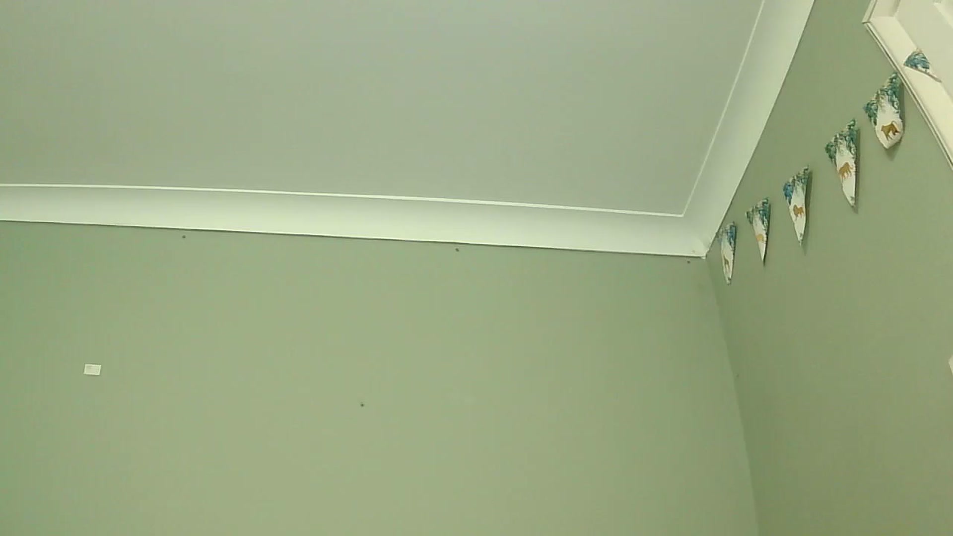 Gallery image thumbnail from misshazel1's myfreecams stream on, 01/07/2025, 10:57 image 15 of 20