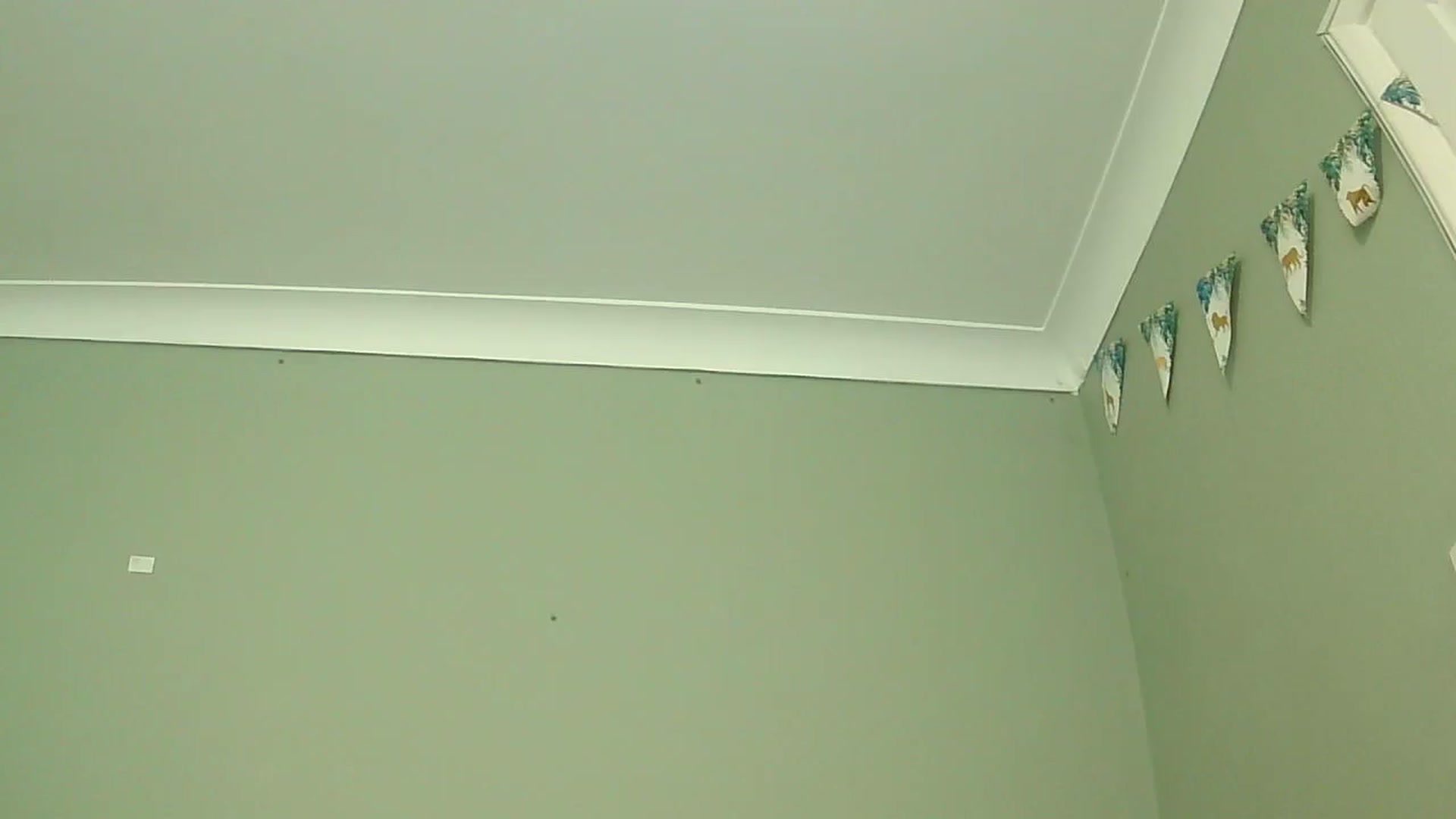 Gallery image thumbnail from misshazel1's myfreecams stream on, 01/07/2025, 10:57 image 13 of 20