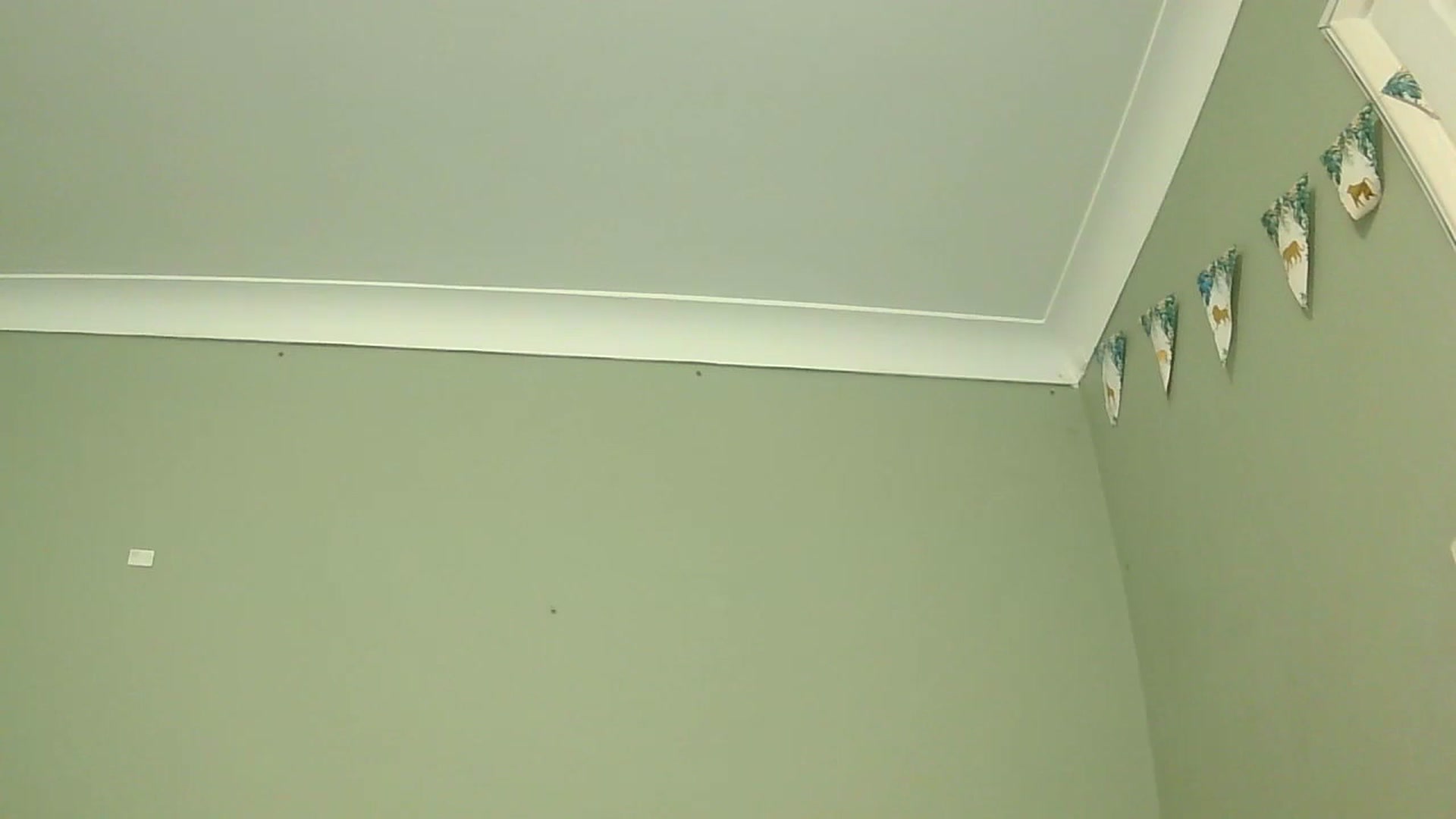 Gallery image thumbnail from misshazel1's myfreecams stream on, 01/07/2025, 10:57 image 1 of 20
