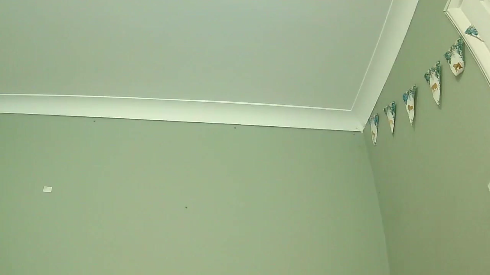 Gallery image thumbnail from misshazel1's myfreecams stream on, 01/07/2025, 10:57 image 10 of 20