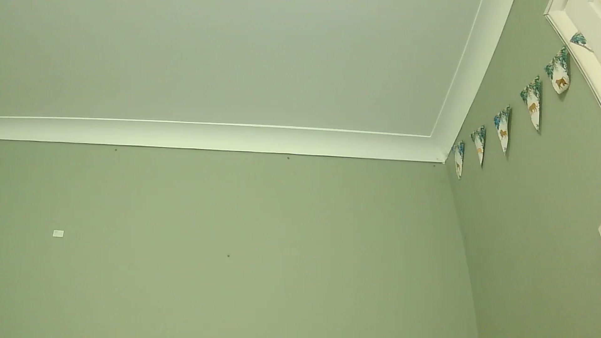 Gallery image thumbnail from misshazel1's myfreecams stream on, 01/07/2025, 10:57 image 20 of 20
