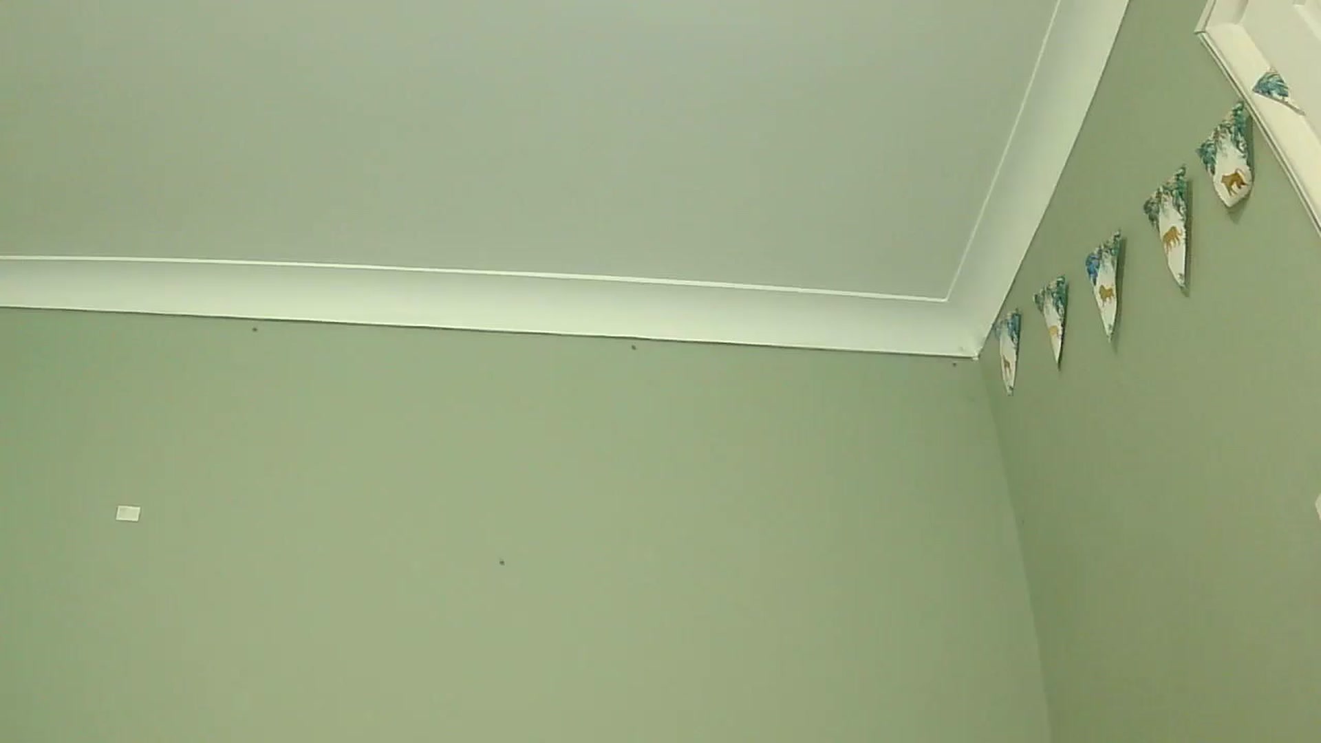 Gallery image thumbnail from misshazel1's myfreecams stream on, 01/07/2025, 10:57 image 19 of 20