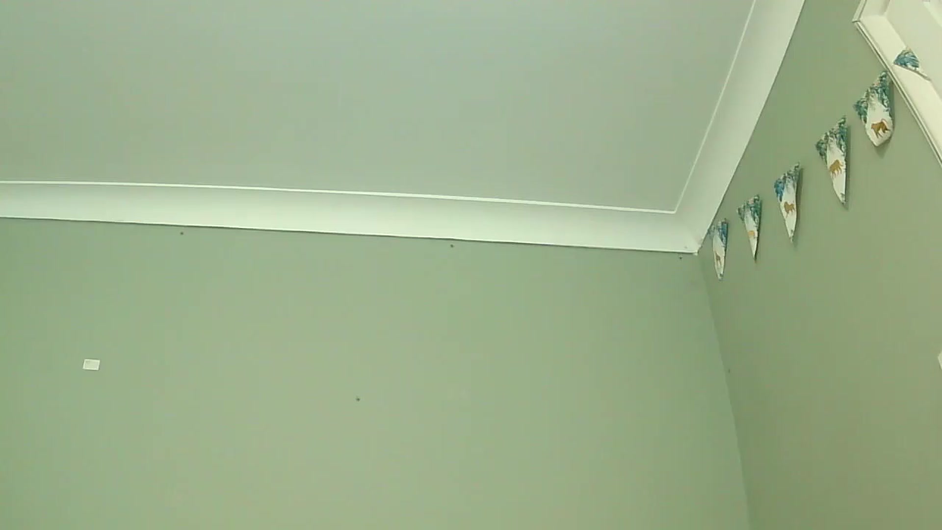 Gallery image thumbnail from misshazel1's myfreecams stream on, 01/07/2025, 10:57 image 9 of 20