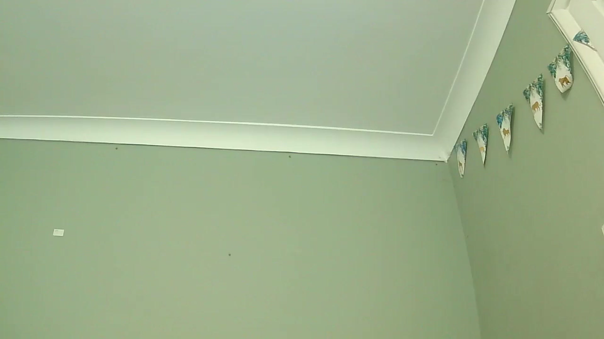 Gallery image thumbnail from misshazel1's myfreecams stream on, 01/07/2025, 10:57 image 5 of 20
