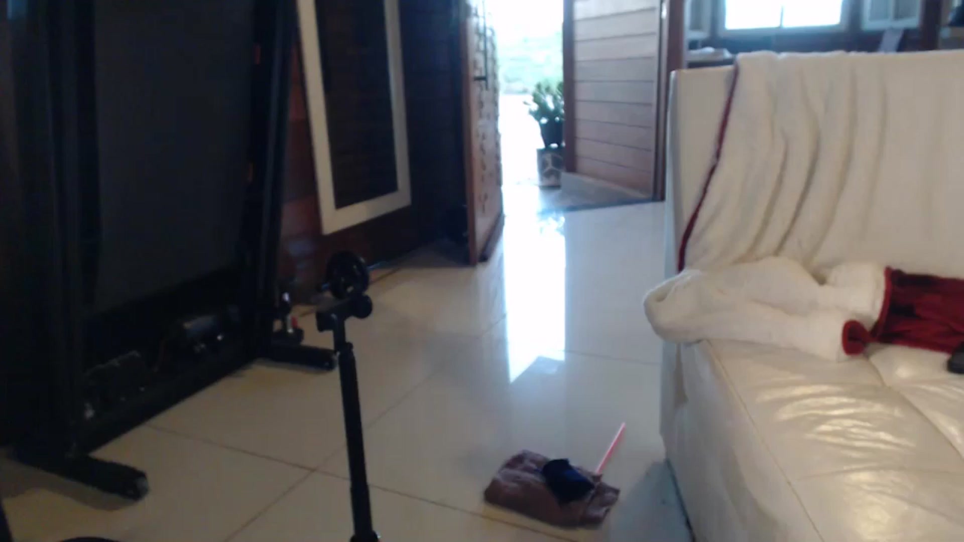 Gallery image thumbnail from misssweetteen's myfreecams stream on, 12/09/2024, 22:14 image 2 of 20