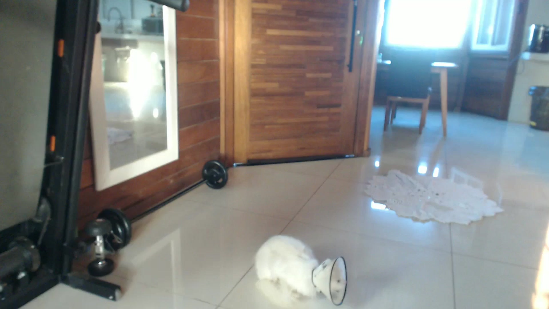 Gallery image thumbnail from misssweetteen's myfreecams stream on, 12/15/2024, 23:26 image 1 of 20
