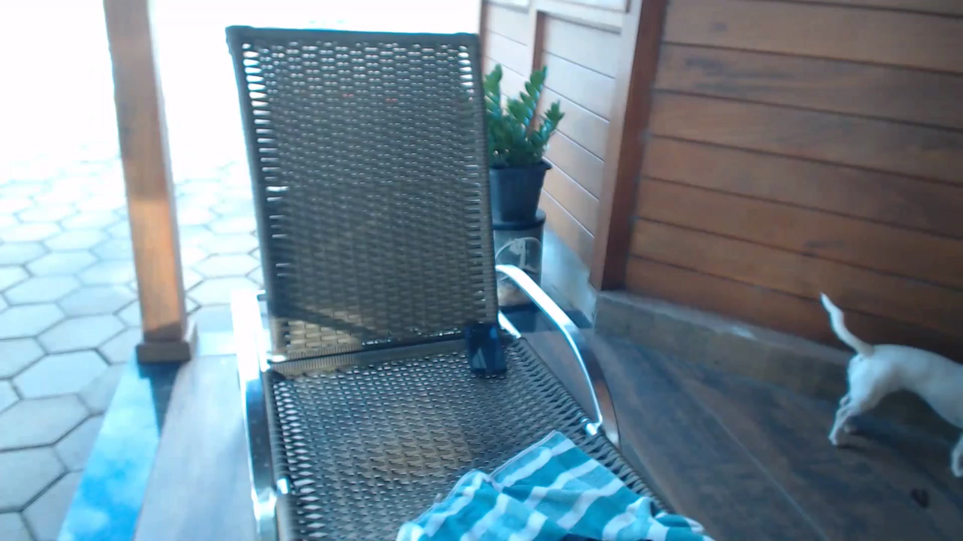 Gallery image thumbnail from misssweetteen's myfreecams stream on, 01/19/2025, 21:47 image 9 of 20