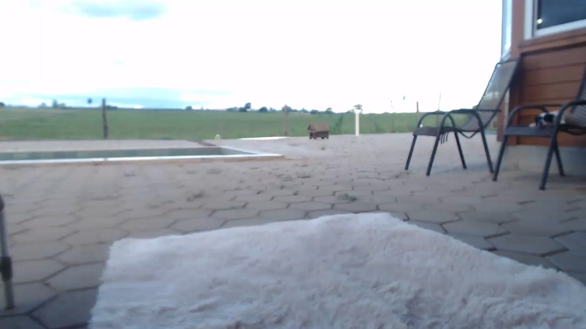 Gallery image thumbnail from misssweetteen's myfreecams stream on, 02/13/2025, 21:48 image 20 of 20
