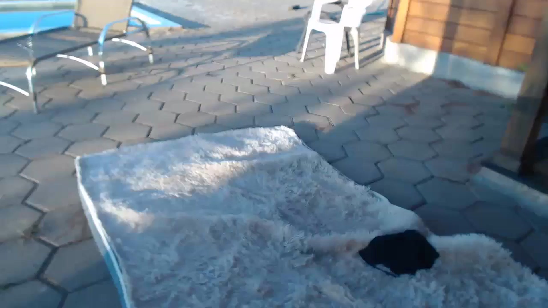 Gallery image thumbnail from misssweetteen's myfreecams stream on, 08/07/2025, 21:00 image 5 of 20