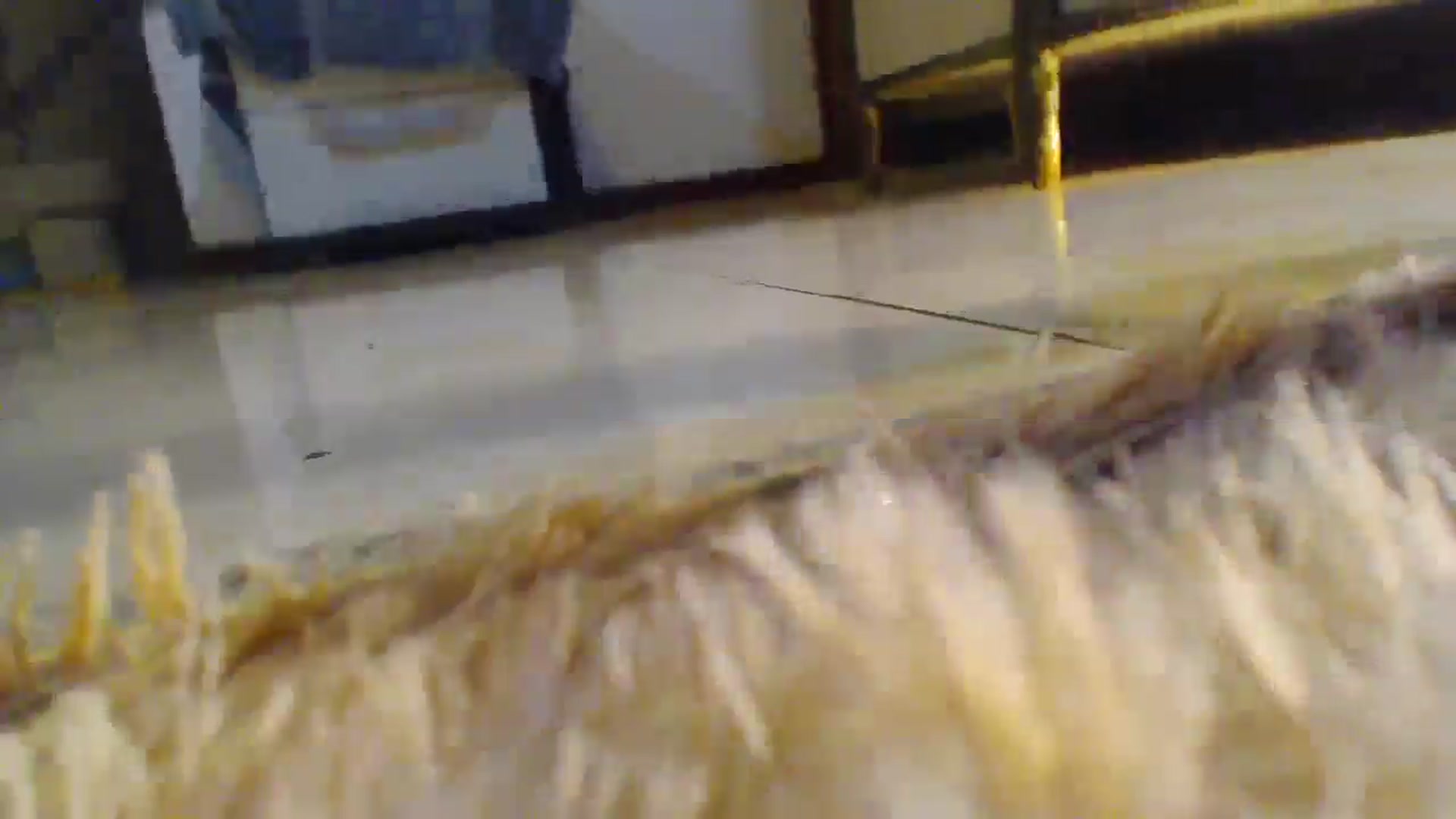 Gallery image thumbnail from misssweetteen's myfreecams stream on, 02/01/2026, 23:24 image 20 of 20