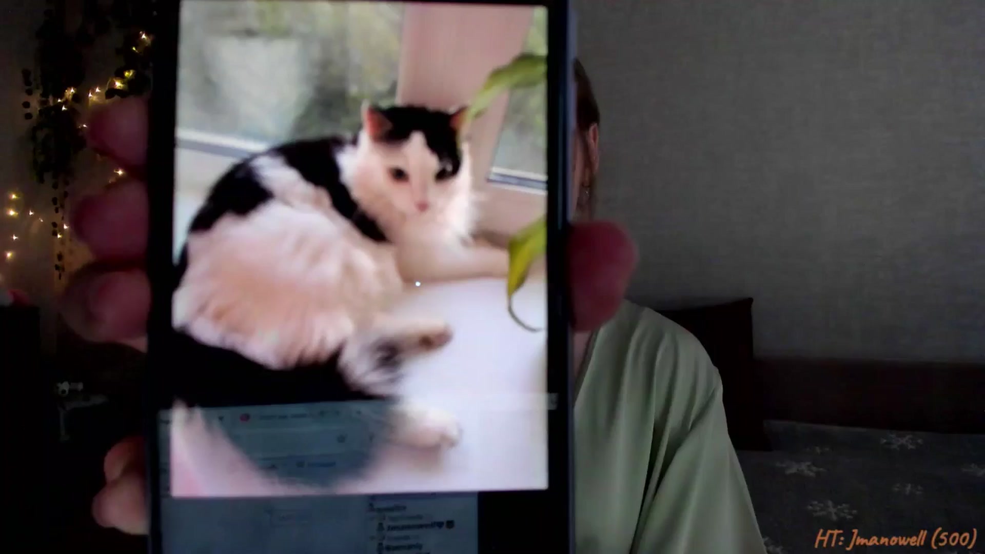 Gallery image thumbnail from mnialice's myfreecams stream on, 02/14/2026, 06:18 image 9 of 20