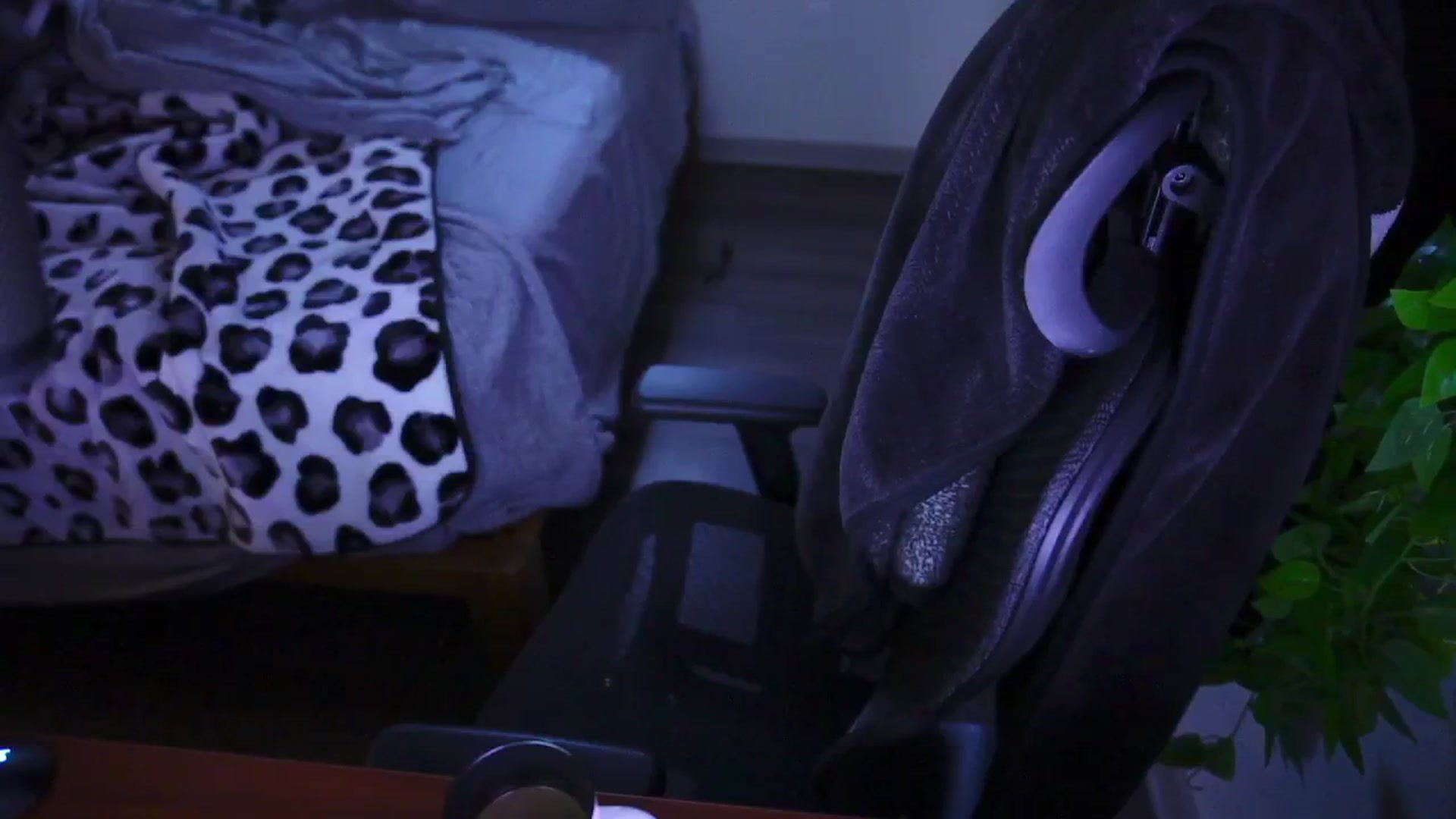 Gallery image thumbnail from moonlitfox's myfreecams stream on, 01/02/2025, 13:34 image 20 of 20