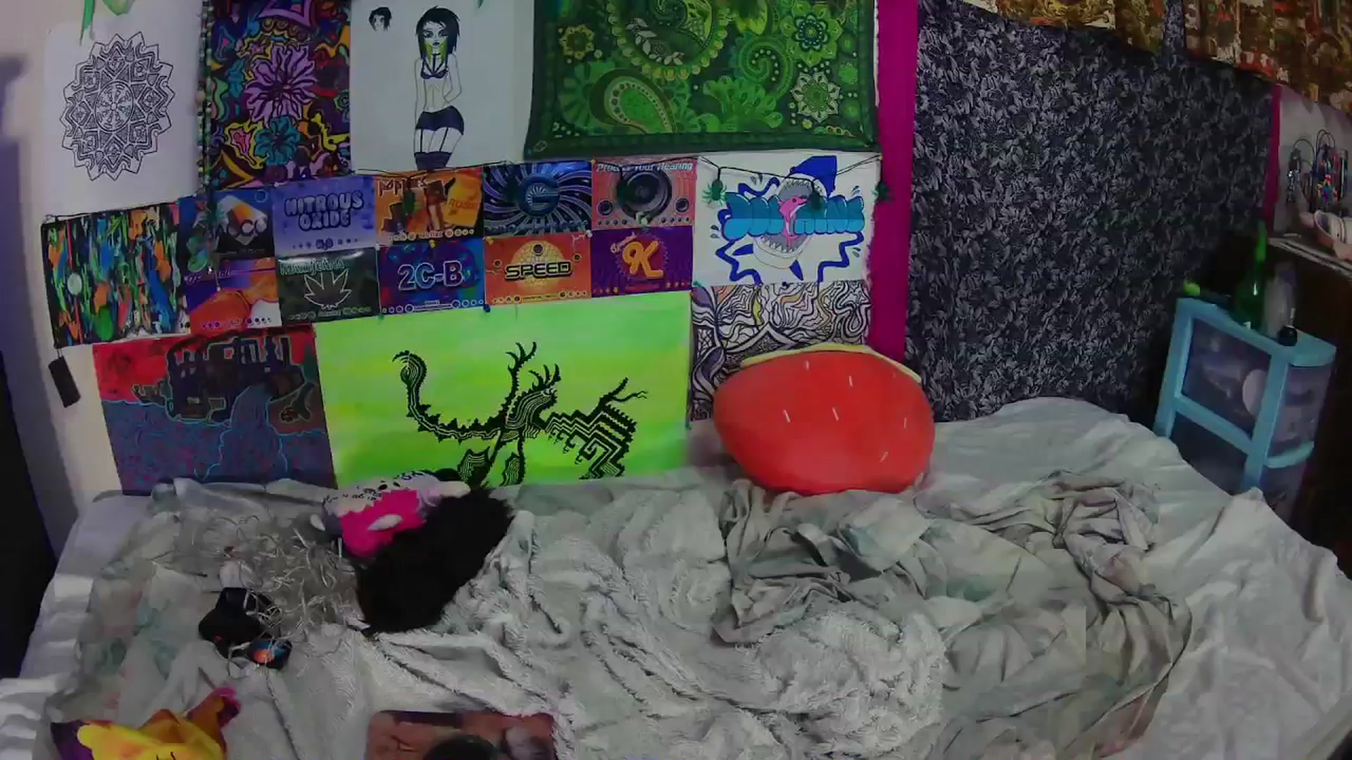 Gallery image thumbnail from moooonbbfloof's myfreecams stream on, 12/24/2025, 09:39 image 3 of 20
