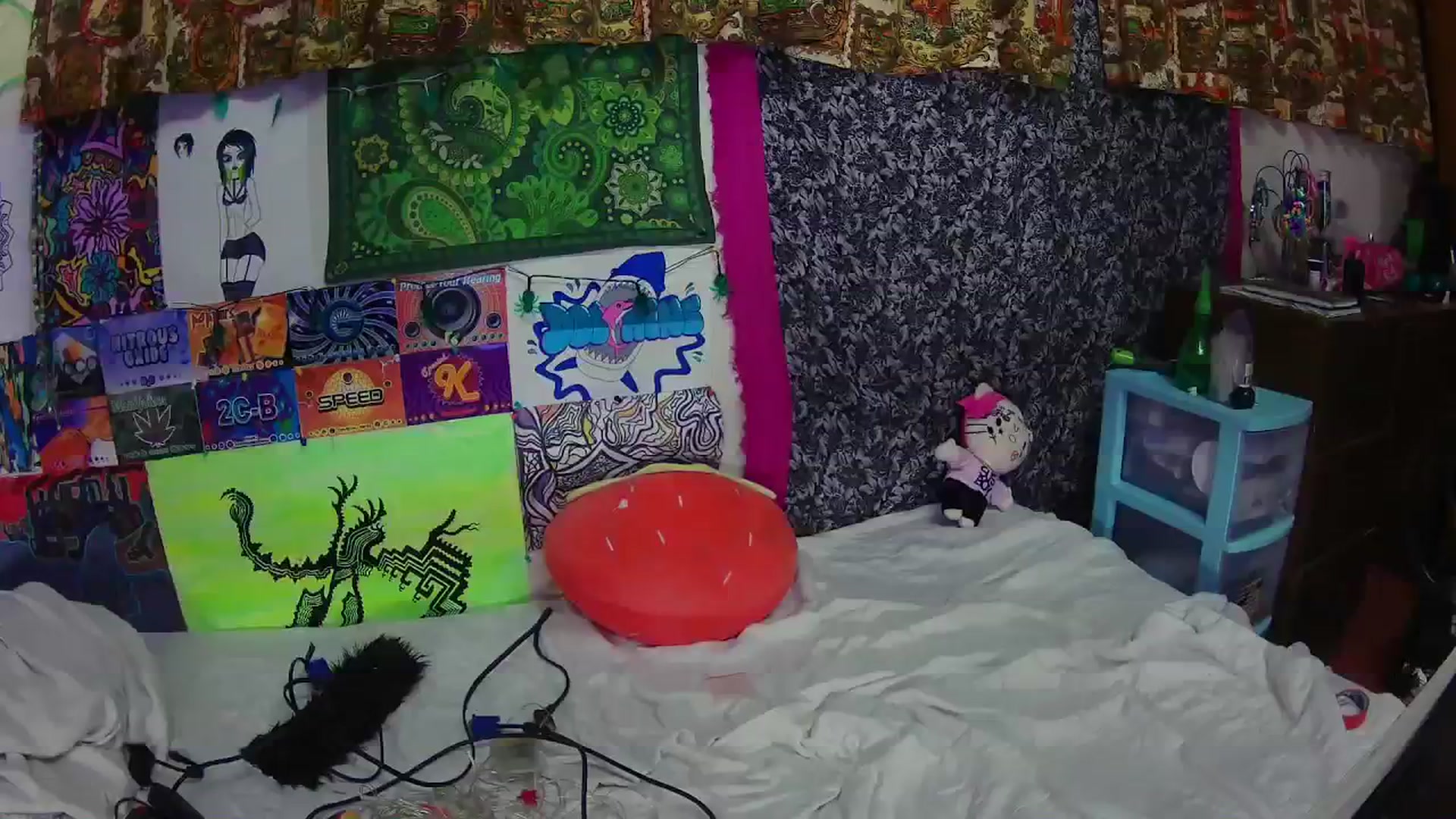 Gallery image thumbnail from moooonbbfloof's myfreecams stream on, 12/24/2025, 11:00 image 4 of 20
