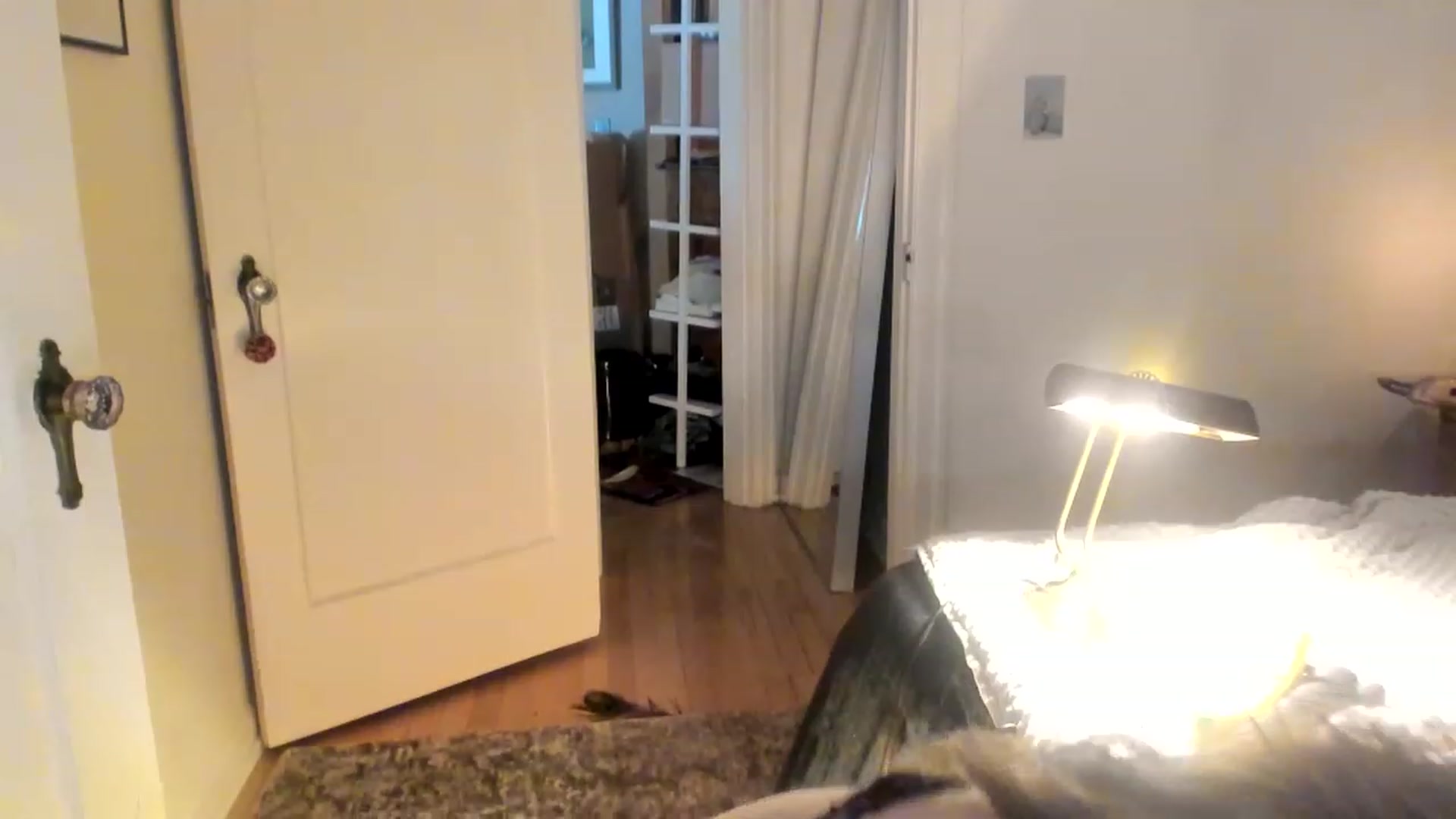 Gallery image thumbnail from muffinmoon's myfreecams stream on, 06/05/2023, 08:34 image 18 of 20