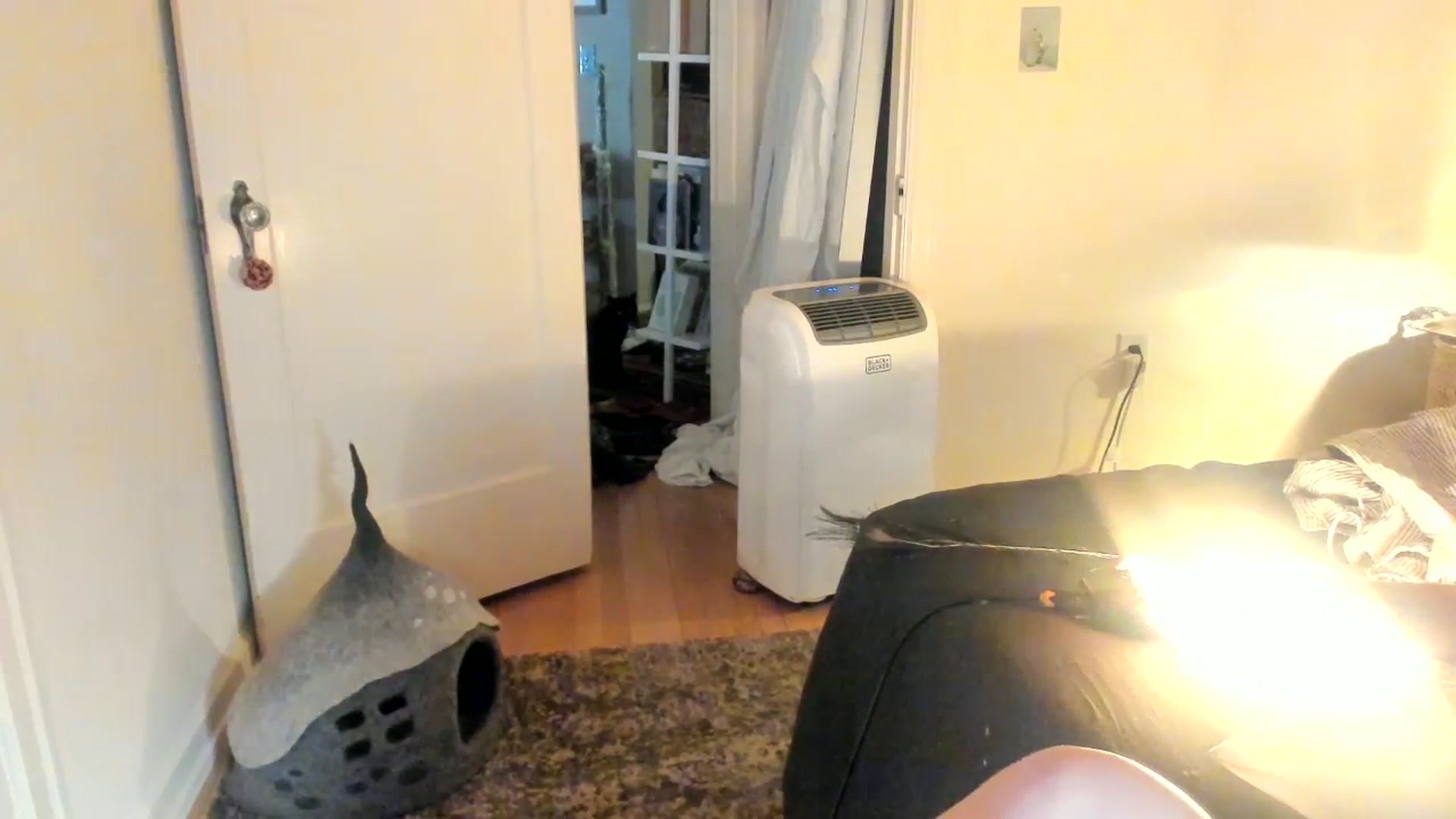 Gallery image thumbnail from muffinmoon's myfreecams stream on, 07/10/2023, 06:17 image 20 of 20