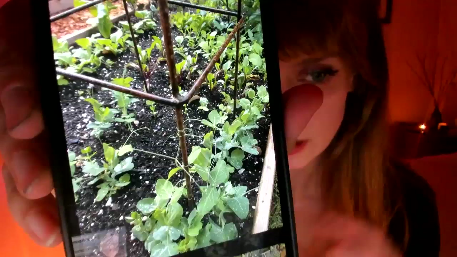 Gallery image thumbnail from muffinmoon's myfreecams stream on, 09/28/2023, 06:04 image 9 of 20