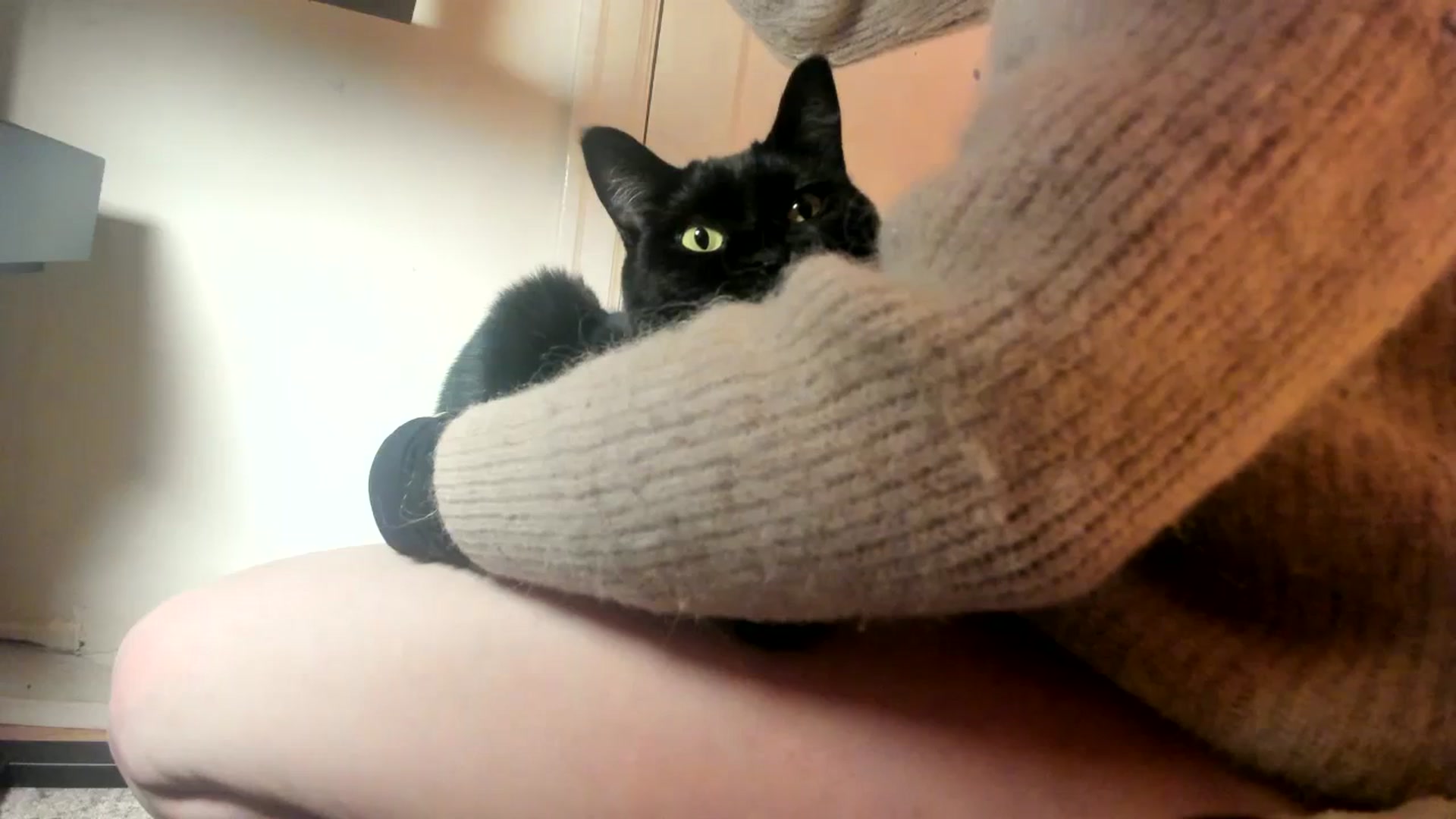 Gallery image thumbnail from muffinmoon's myfreecams stream on, 11/11/2023, 08:38 image 17 of 20