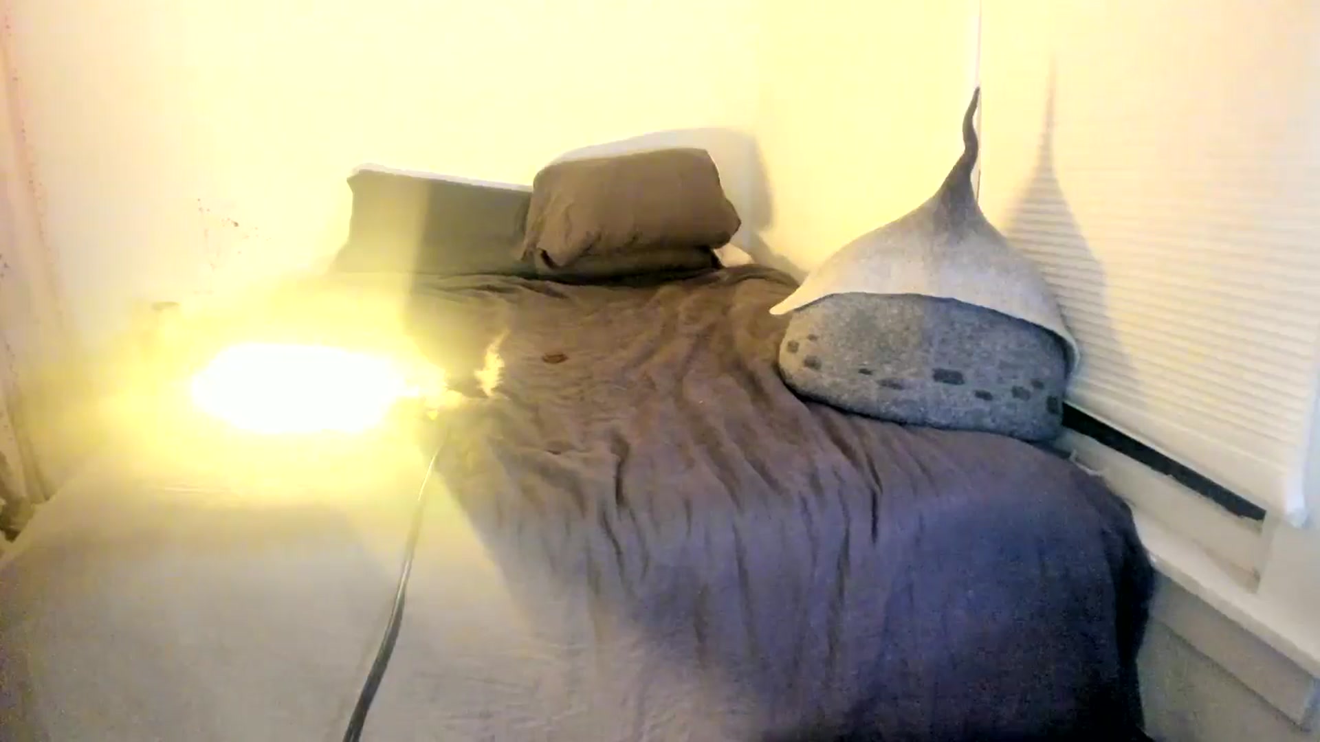 Gallery image thumbnail from muffinmoon's myfreecams stream on, 07/25/2024, 05:04 image 20 of 20