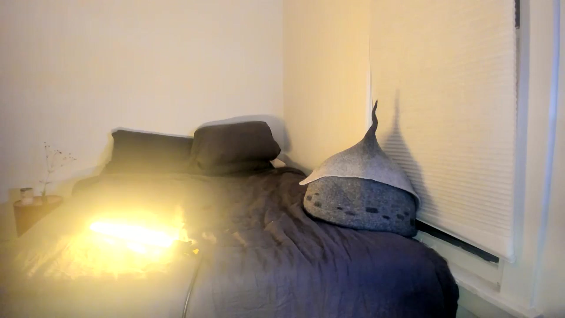 Gallery image thumbnail from muffinmoon's myfreecams stream on, 07/25/2024, 06:13 image 19 of 20