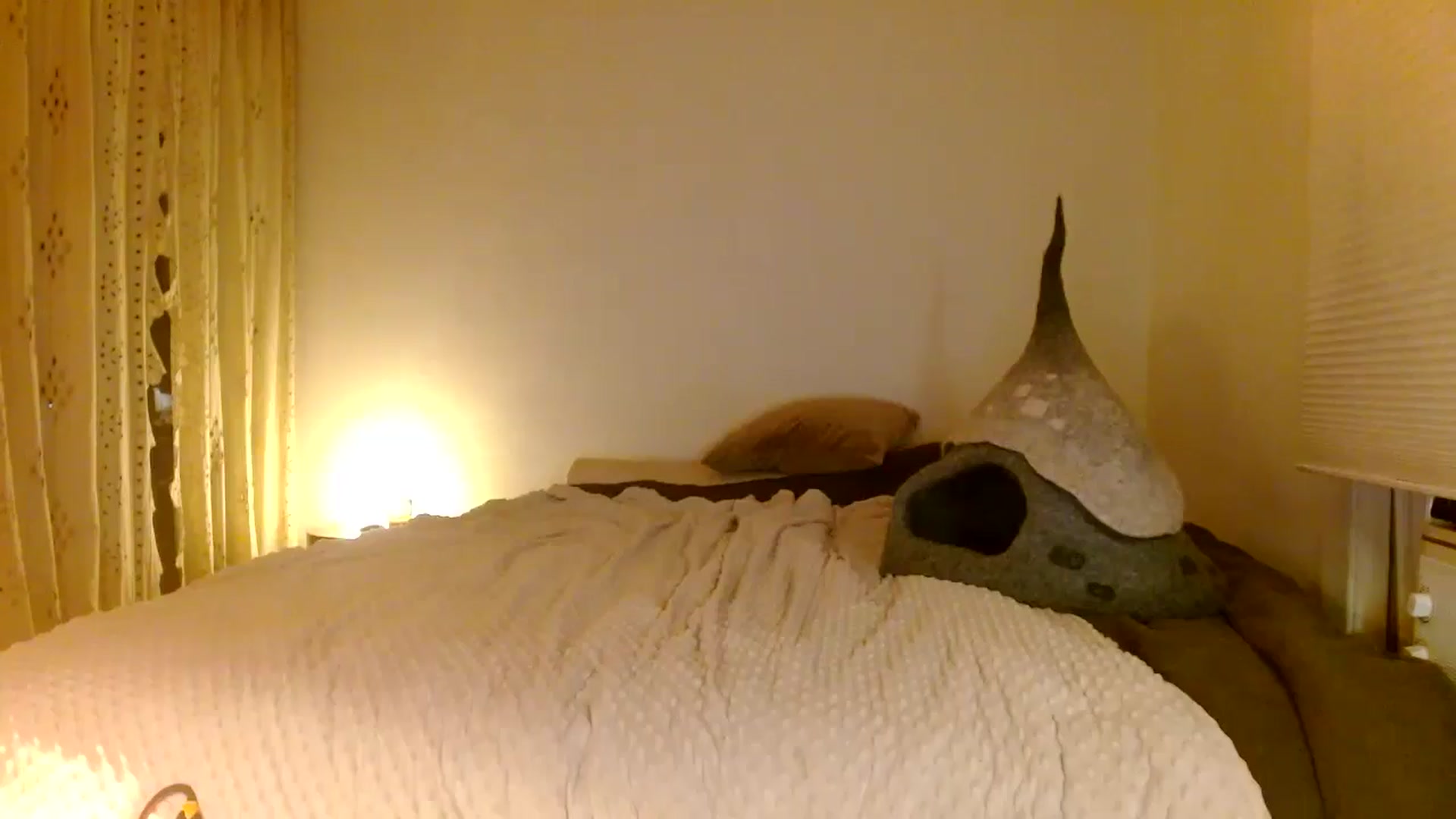 Gallery image thumbnail from muffinmoon's myfreecams stream on, 10/27/2024, 06:28 image 20 of 20