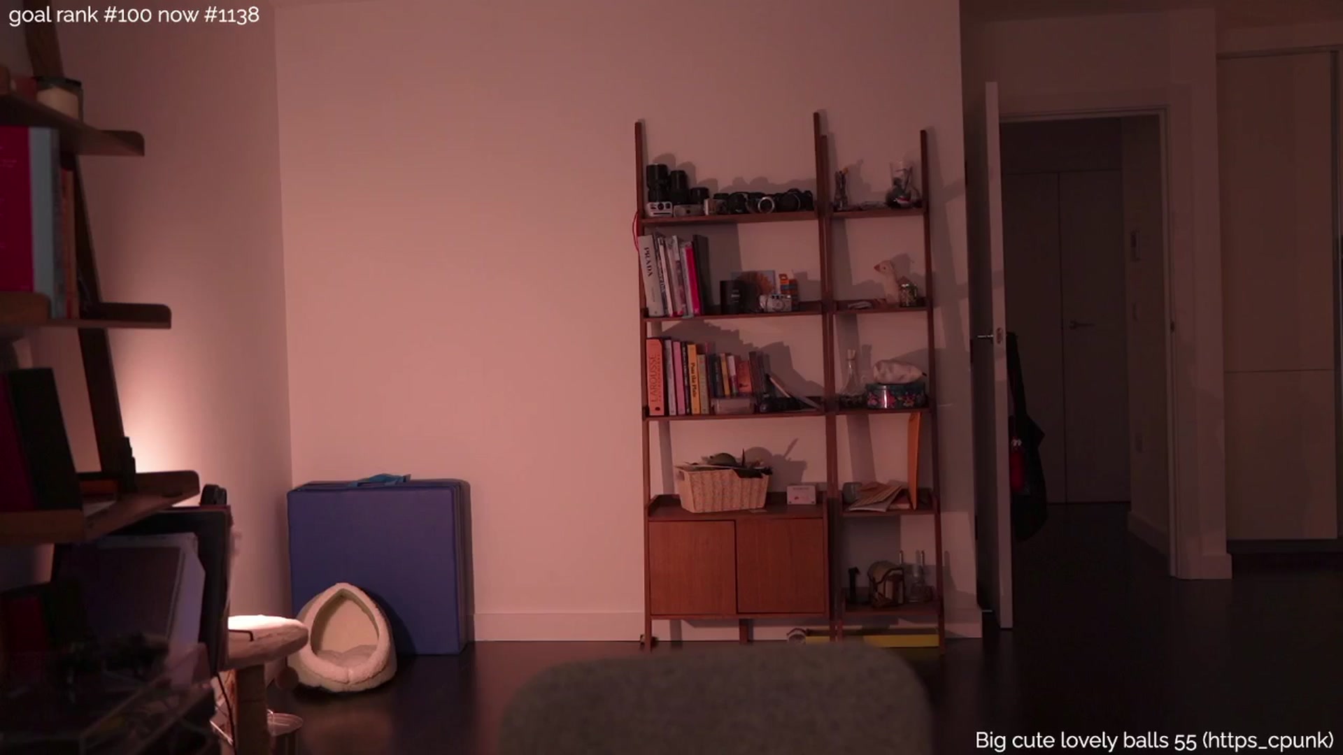 Gallery image thumbnail from myfreetits's myfreecams stream on, 06/25/2025, 24:04 image 1 of 20