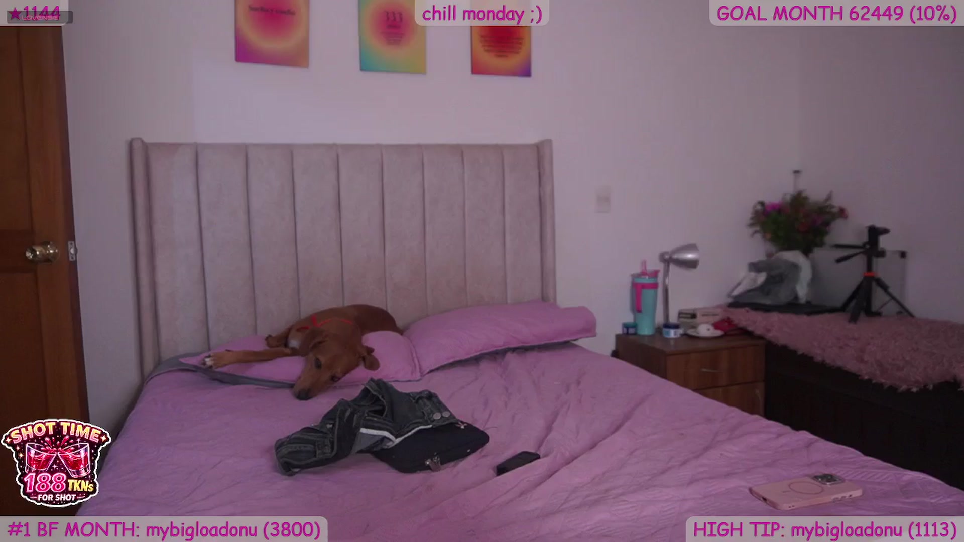 Gallery image thumbnail from naniicute's myfreecams stream on, 04/13/2026, 23:57 image 12 of 20