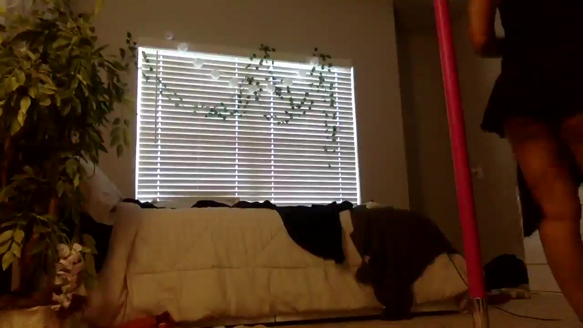 Gallery image thumbnail from nastyneri's myfreecams stream on, 06/22/2025, 20:38 image 4 of 20