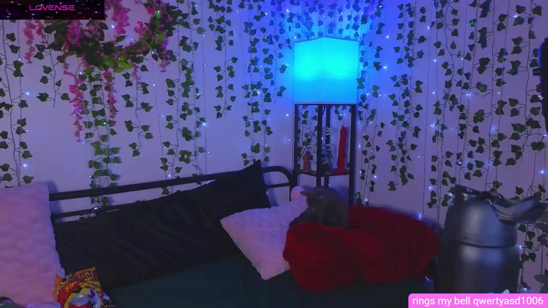 Gallery image thumbnail from naughtybella_'s myfreecams stream on, 08/25/2026, 24:00 image 10 of 20