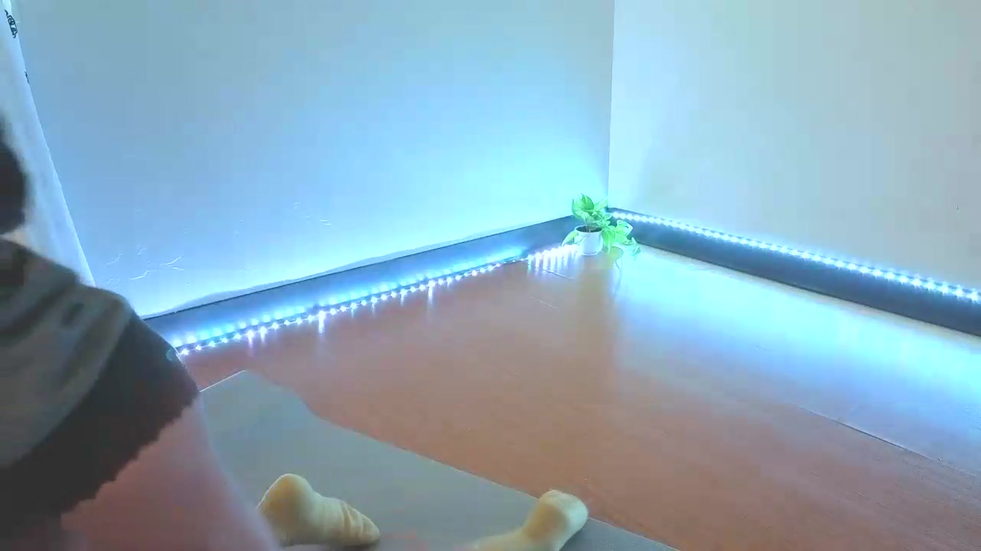 Gallery image thumbnail from nella's myfreecams stream on, 08/05/2026, 17:31 image 7 of 20