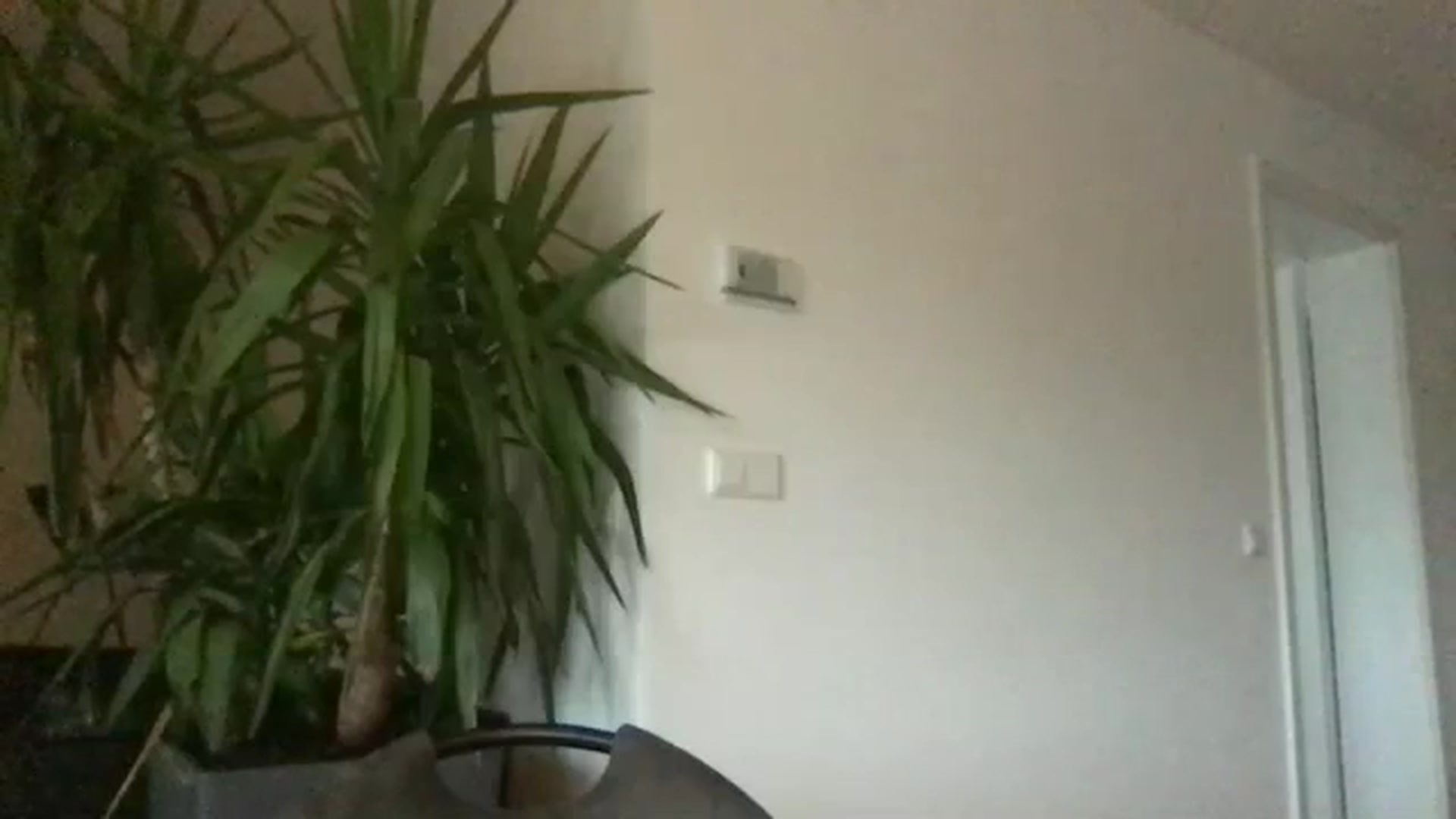 Gallery image thumbnail from neverinmylife's myfreecams stream on, 12/21/2023, 14:02 image 18 of 20