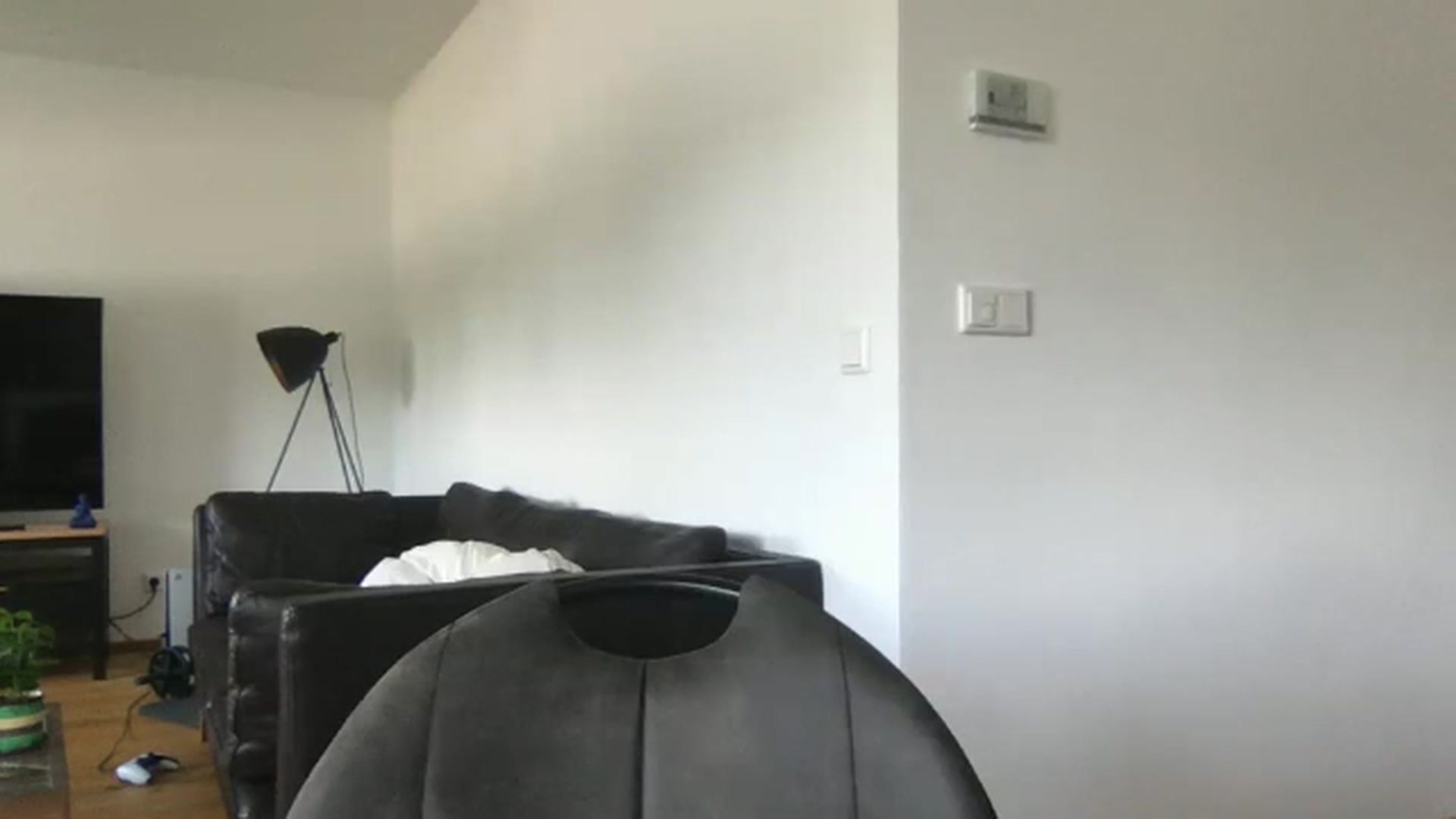 Gallery image thumbnail from neverinmylife's myfreecams stream on, 06/06/2024, 11:46 image 5 of 20