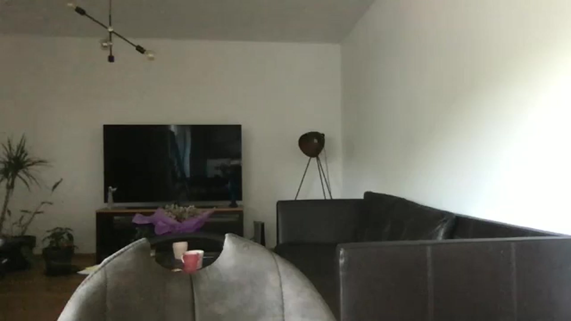 Gallery image thumbnail from neverinmylife's myfreecams stream on, 07/29/2024, 10:24 image 20 of 20