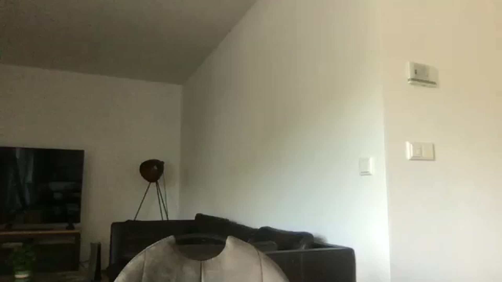 Gallery image thumbnail from neverinmylife's myfreecams stream on, 07/30/2024, 10:15 image 9 of 20