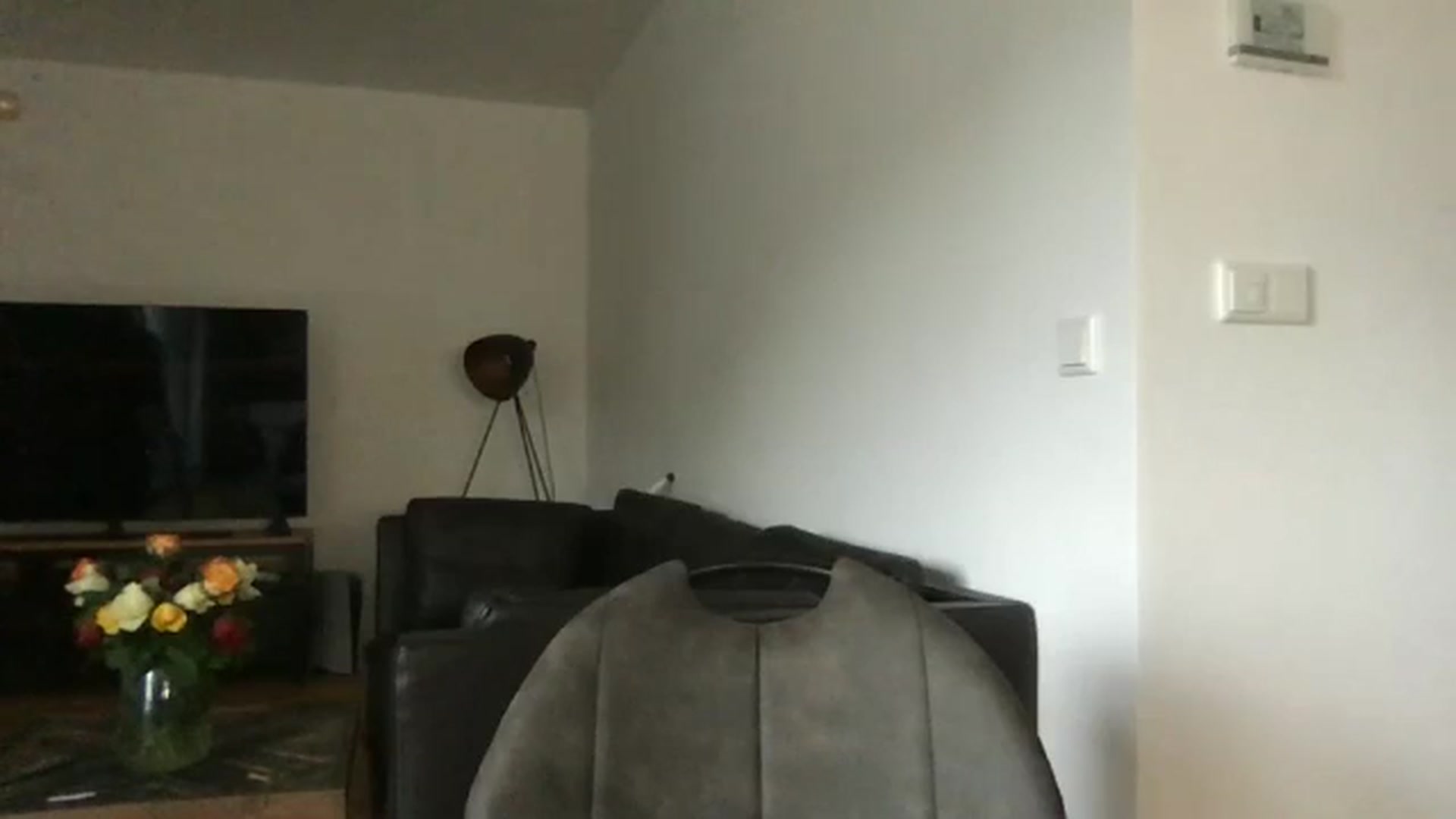 Gallery image thumbnail from neverinmylife's myfreecams stream on, 09/15/2024, 14:29 image 10 of 20