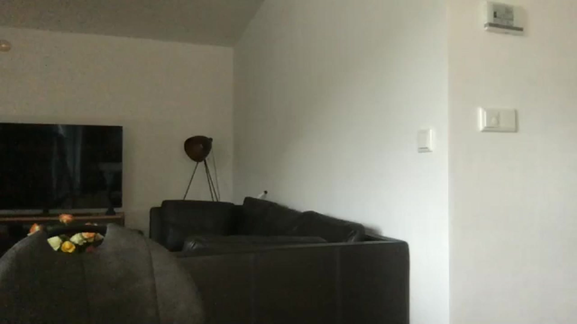 Gallery image thumbnail from neverinmylife's myfreecams stream on, 09/15/2024, 14:29 image 3 of 20