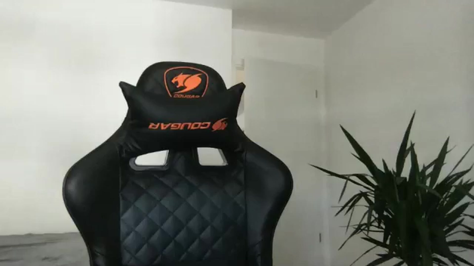 Gallery image thumbnail from neverinmylife's myfreecams stream on, 09/17/2024, 13:19 image 19 of 20