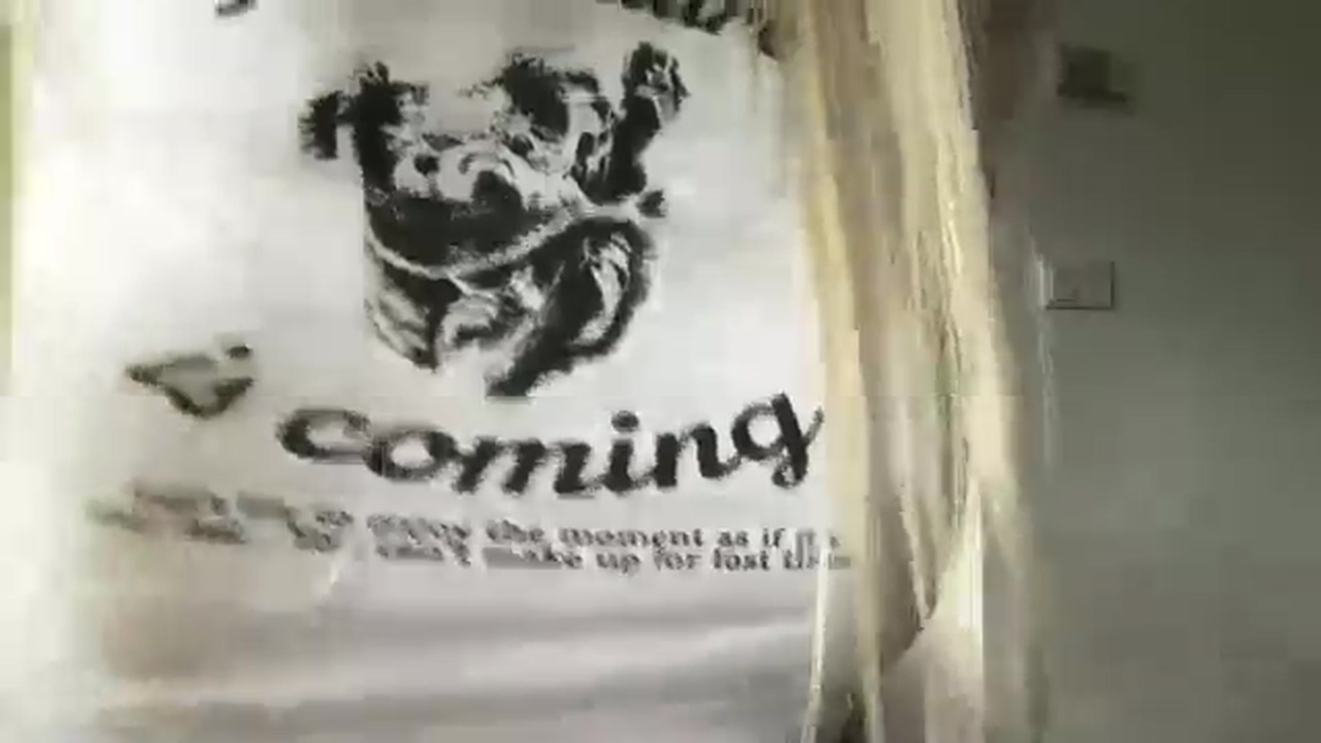 Gallery image thumbnail from neverinmylife's myfreecams stream on, 09/17/2024, 13:19 image 7 of 20