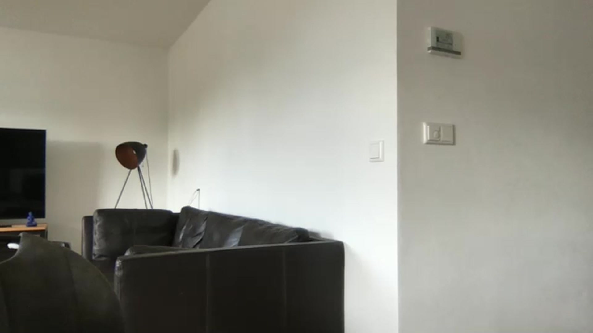 Gallery image thumbnail from neverinmylife's myfreecams stream on, 10/09/2024, 13:15 image 18 of 20