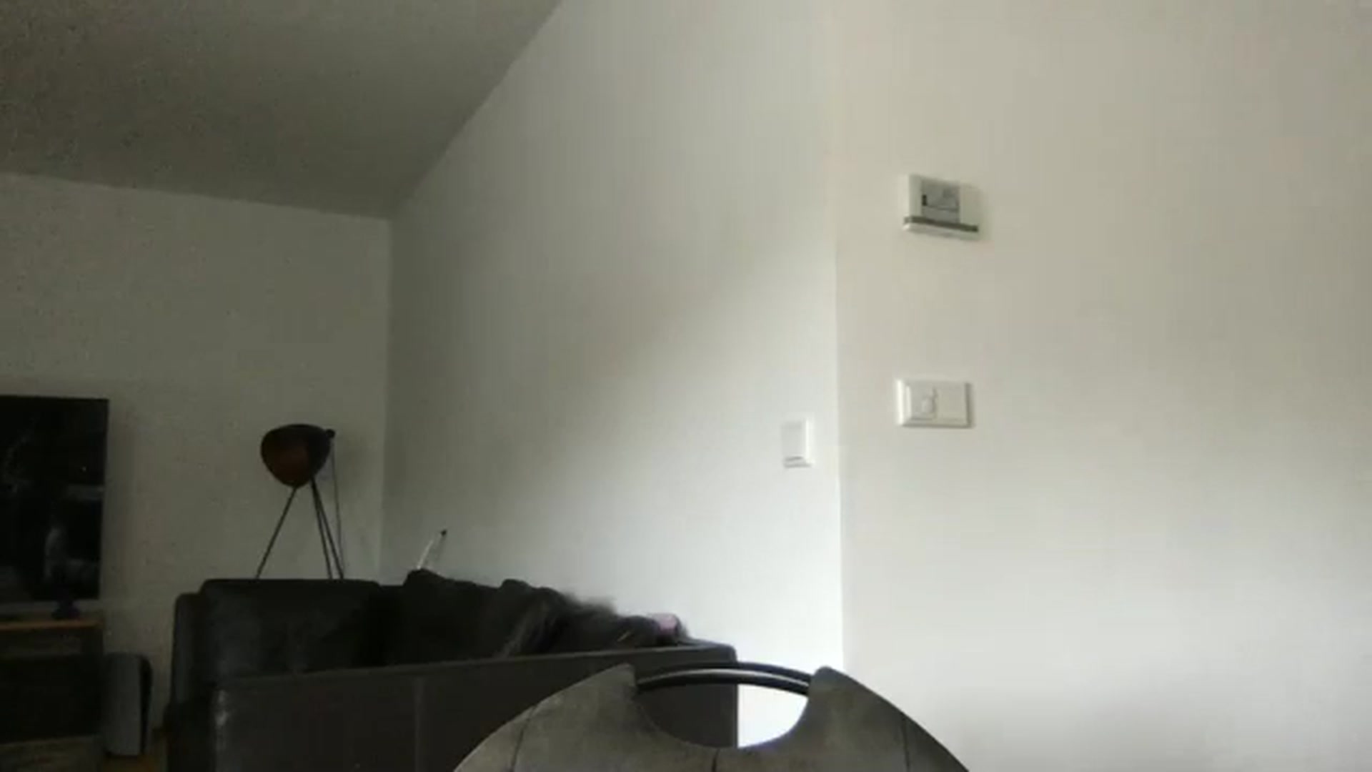 Gallery image thumbnail from neverinmylife's myfreecams stream on, 10/15/2024, 11:30 image 3 of 20