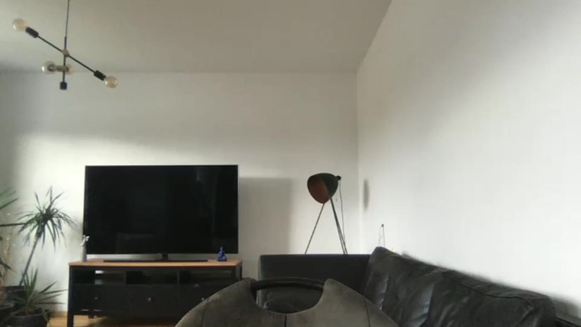 Gallery image thumbnail from neverinmylife's myfreecams stream on, 11/19/2024, 13:26 image 2 of 20