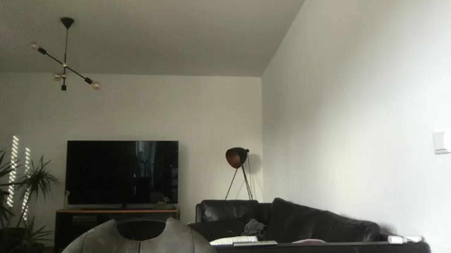 Gallery image thumbnail from neverinmylife's myfreecams stream on, 11/25/2024, 13:40 image 5 of 20