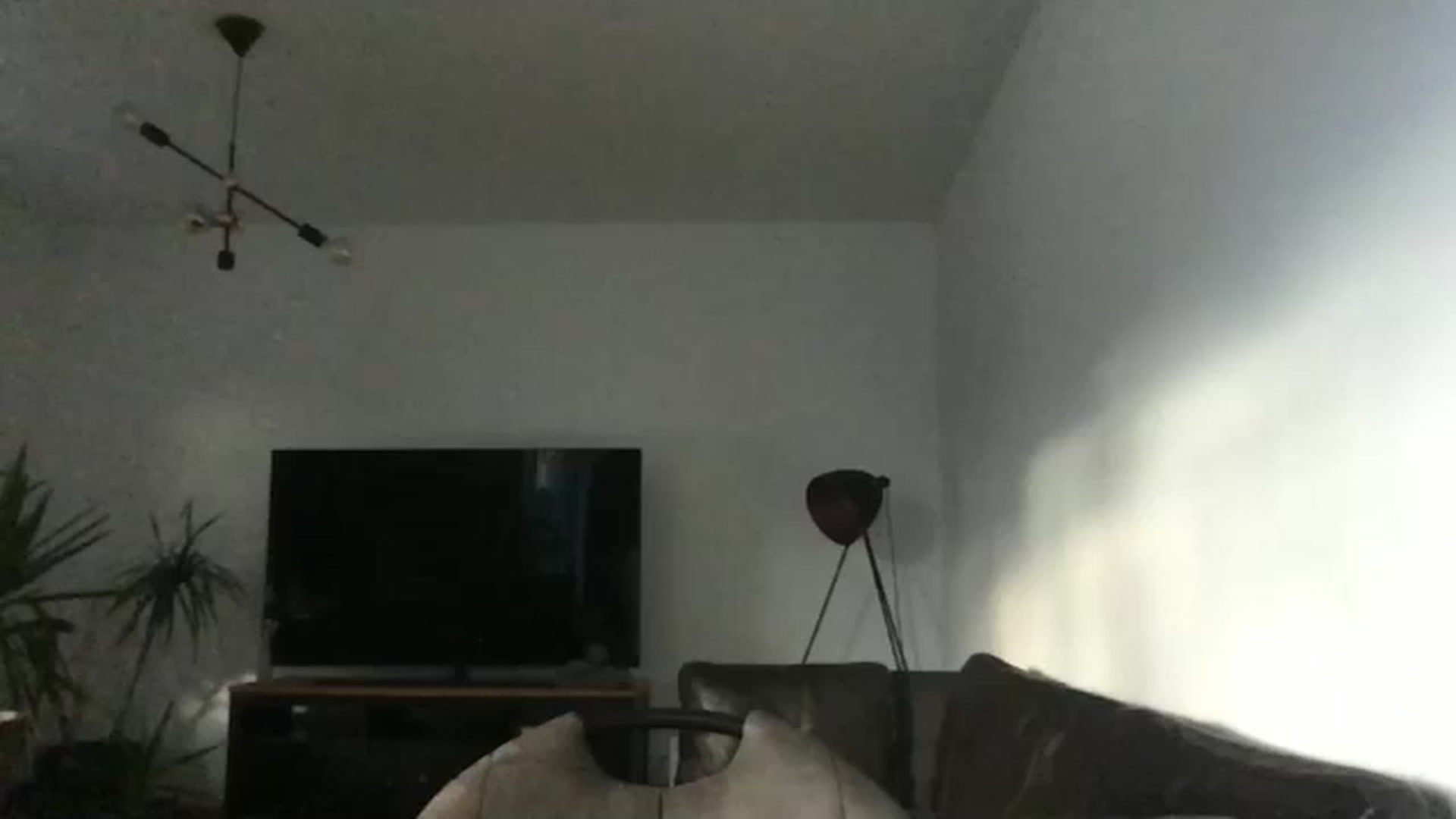 Gallery image thumbnail from neverinmylife's myfreecams stream on, 11/28/2024, 14:34 image 2 of 20