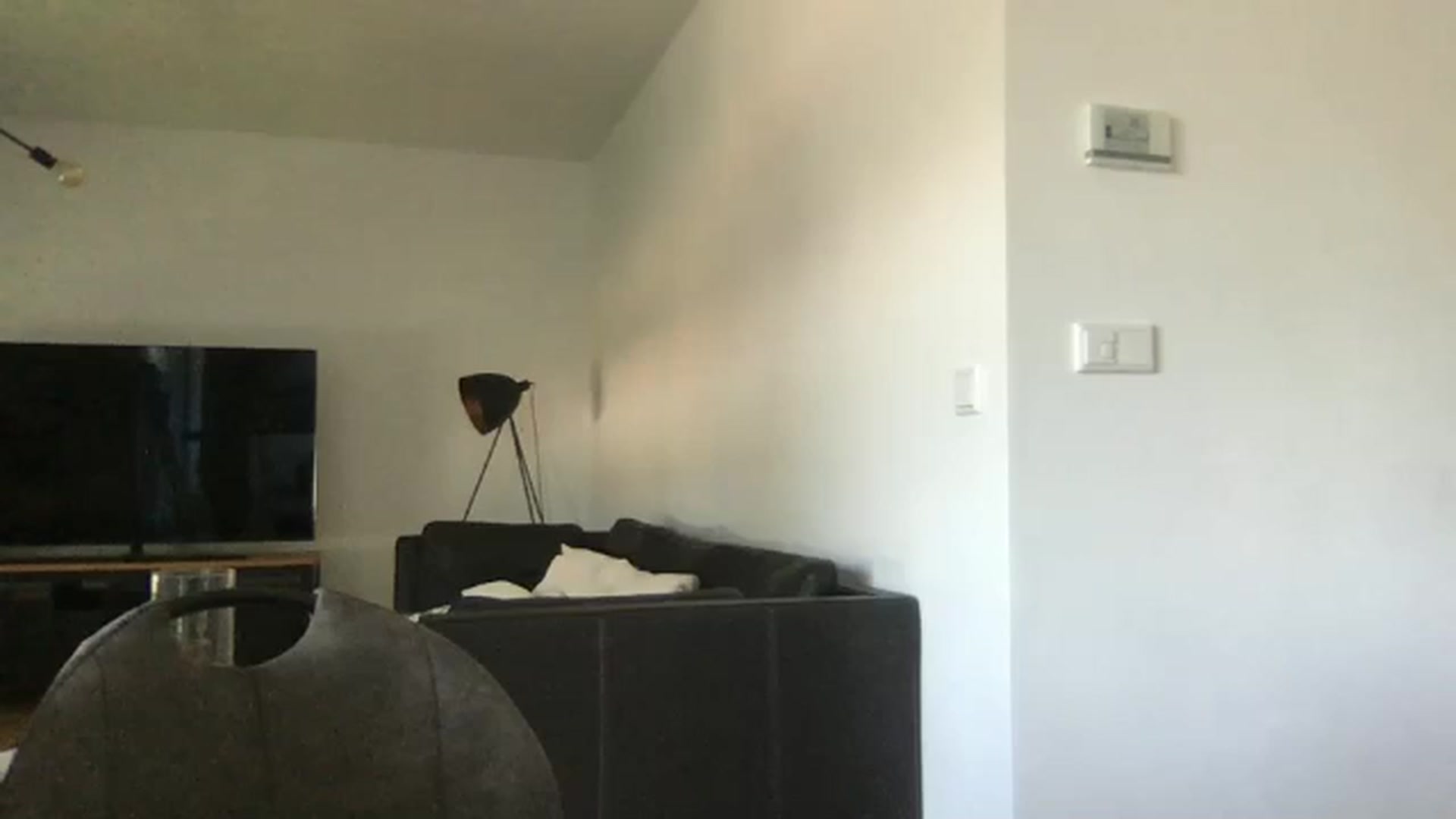 Gallery image thumbnail from neverinmylife's myfreecams stream on, 06/25/2025, 11:12 image 1 of 20