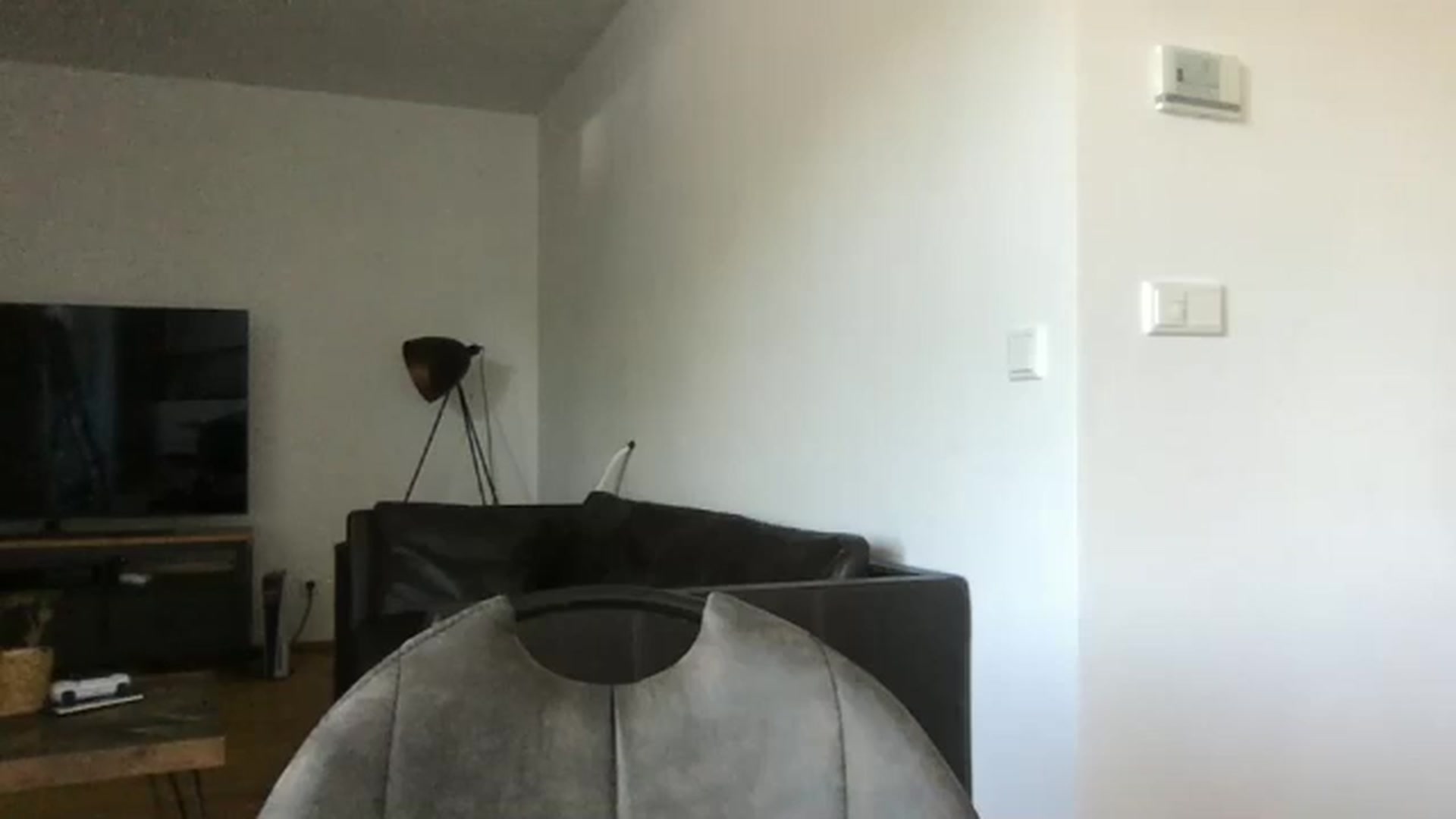 Gallery image thumbnail from neverinmylife's myfreecams stream on, 07/01/2025, 10:22 image 20 of 20