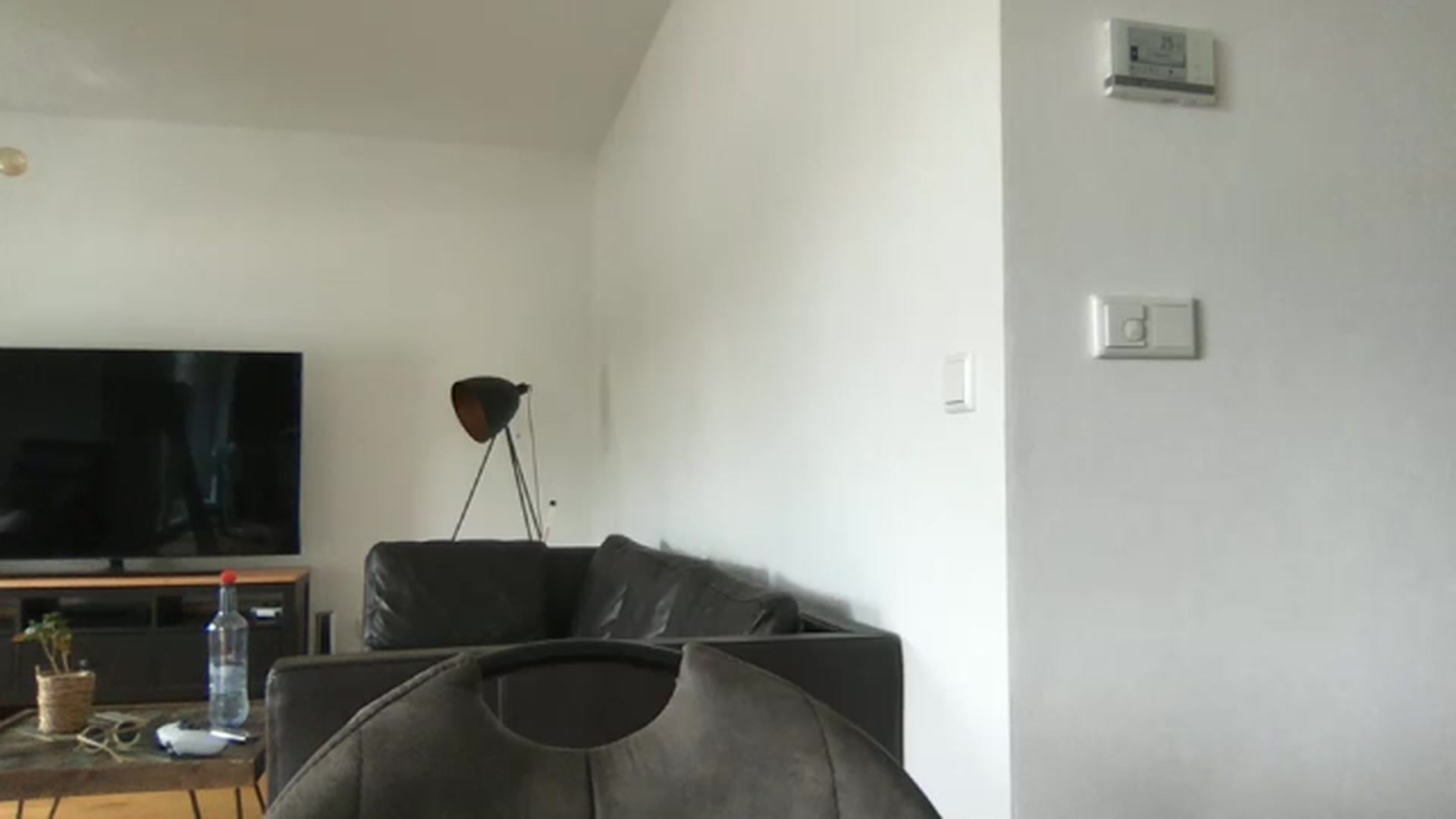 Gallery image thumbnail from neverinmylife's myfreecams stream on, 08/02/2025, 15:09 image 5 of 20