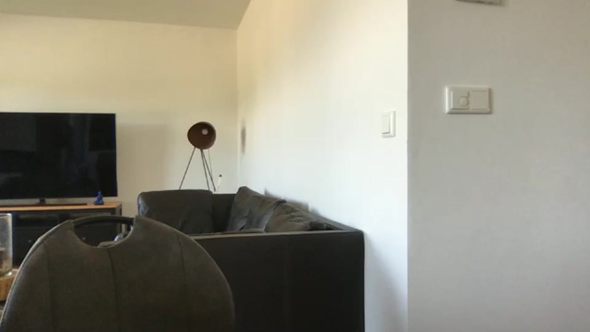 Gallery image thumbnail from neverinmylife's myfreecams stream on, 08/07/2025, 10:02 image 18 of 20